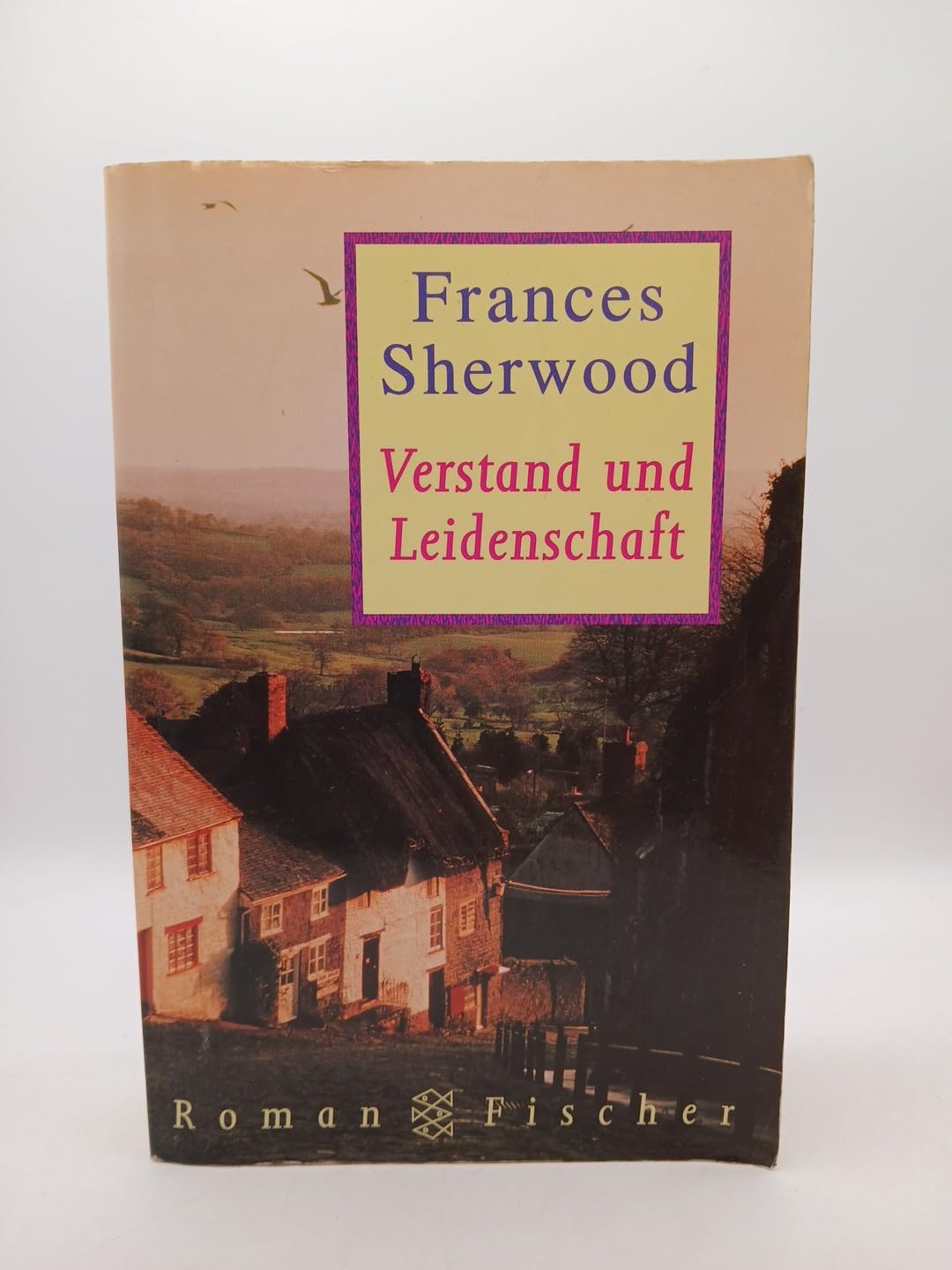 Verstand und Leidenschaft: Roman Books