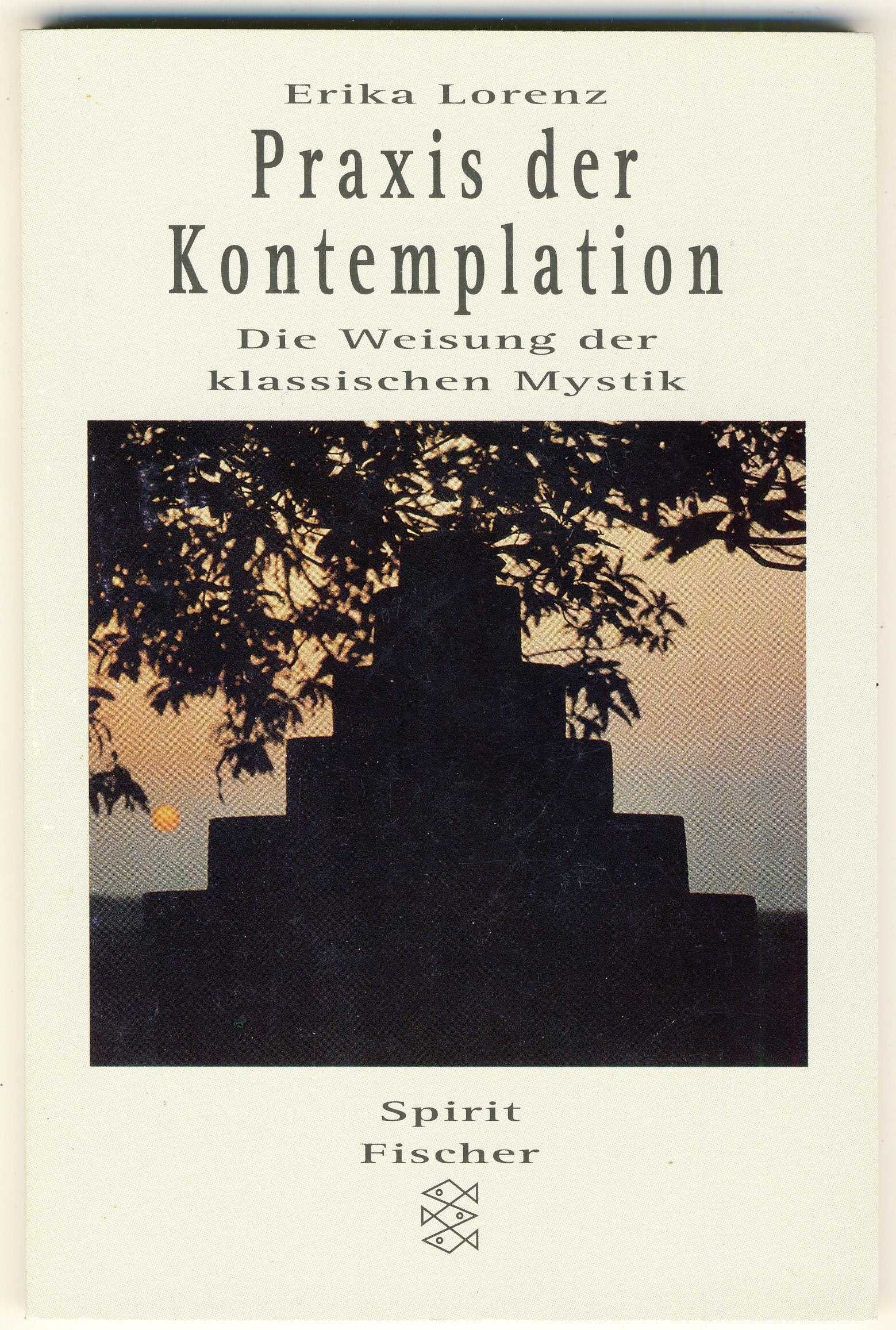 Praxis der Kontemplation: Die Weisungen der klassischen Mystik Books