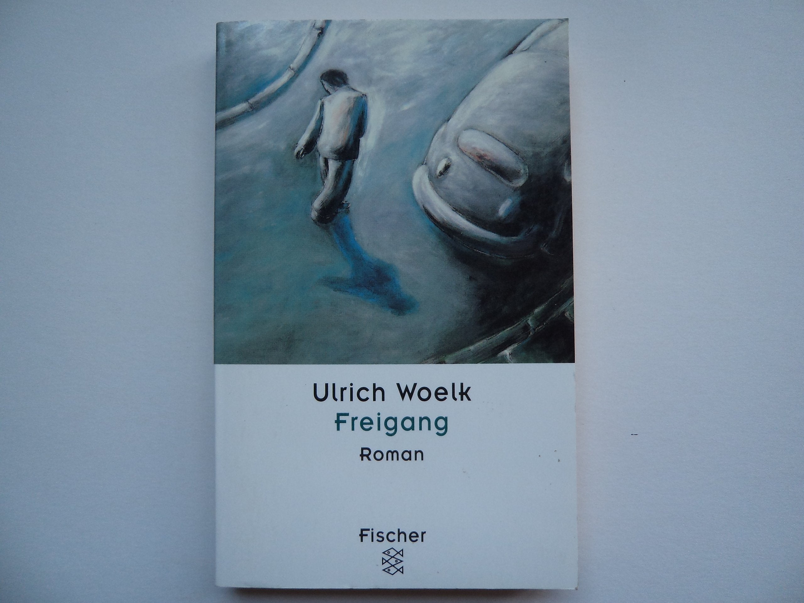 Freigang: Roman (Fischer Taschenbücher) Contemporary literature