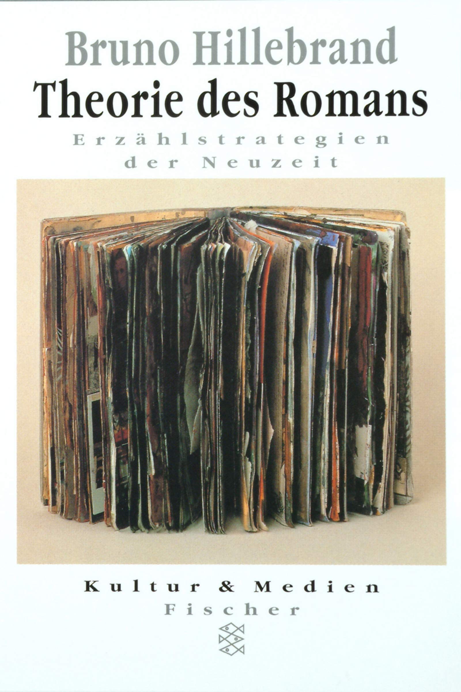 Theorie des Romans: Erzählstrategien der Neuzeit (Fischer Wissenschaft) Contemporary literature