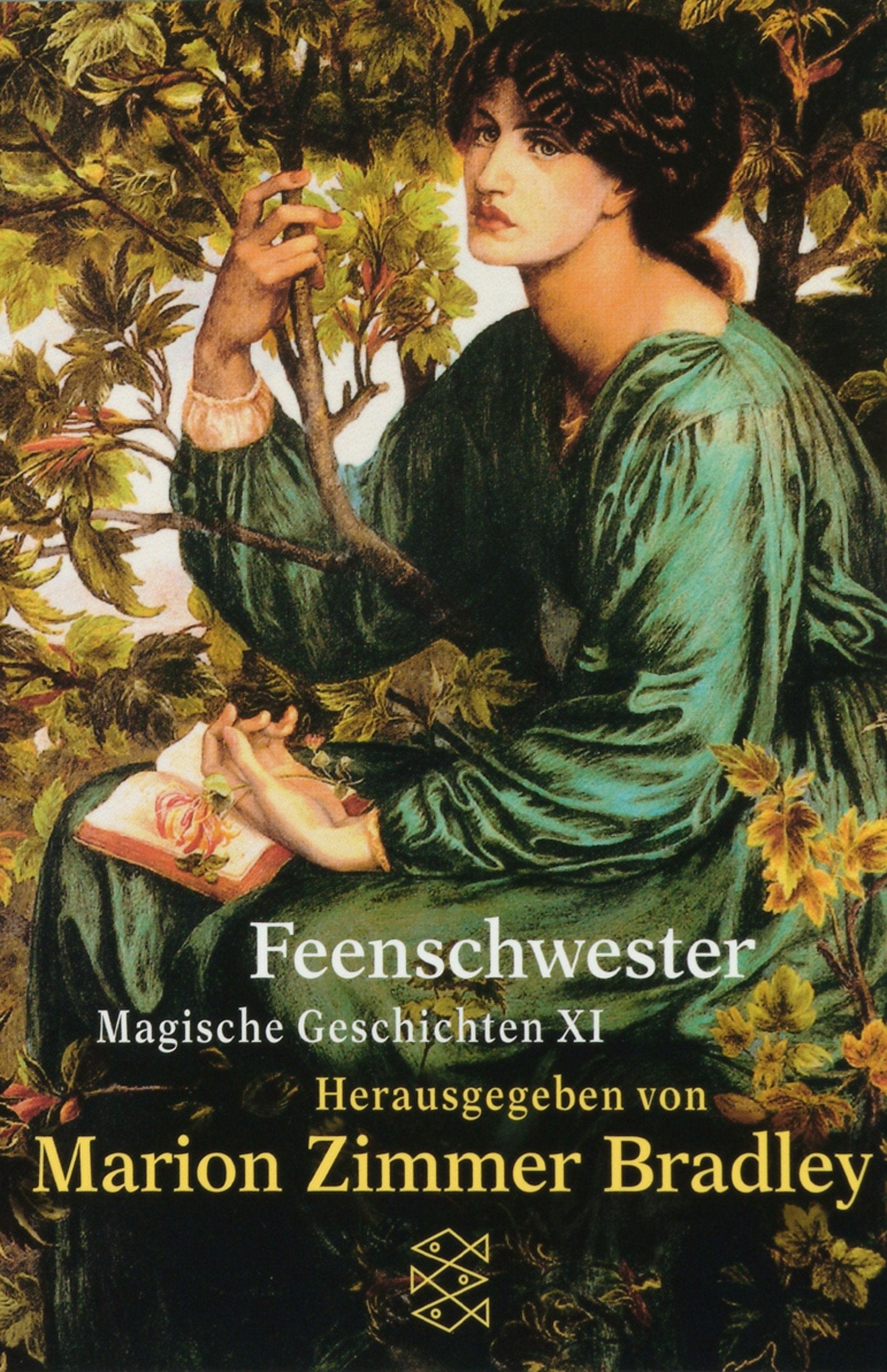 Feenschwester: Magische Geschichten XI: Aus d. Amerikan. v. Wolfgang F. Müller. (Fischer Taschenbücher) Contemporary literature Books