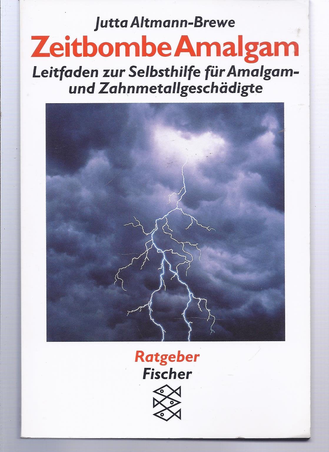 Zeitbombe Amalgam: Leitfaden zur Selbsthilfe für Amalgam- und Zahnmetallgeschädigte Medicine