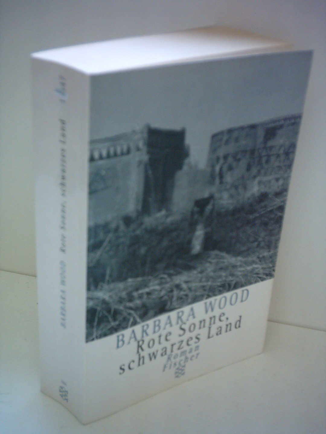 Rote Sonne, schwarzes Land: Roman Contemporary literature