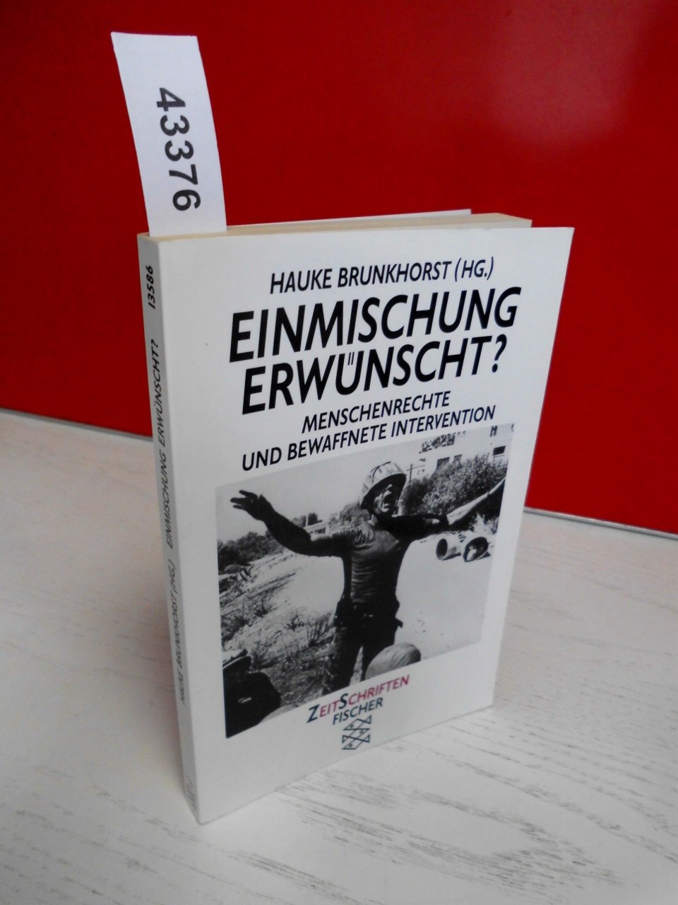 Einmischung erwünscht?: Menschenrechte und bewaffnete Intervention Law