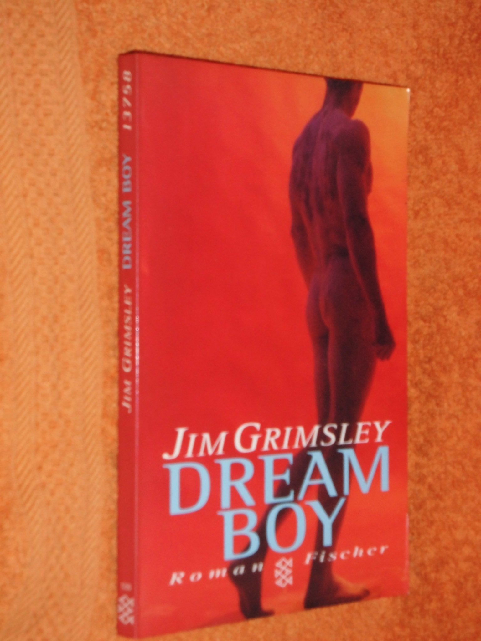 Dream Boy: Roman Books