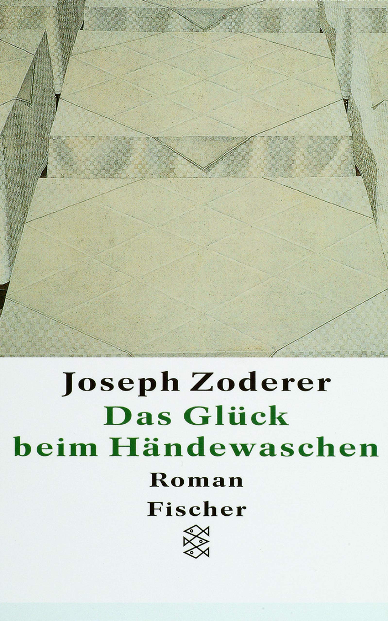 Das Glück beim Händewaschen: Roman (Fischer Taschenbücher) Contemporary literature