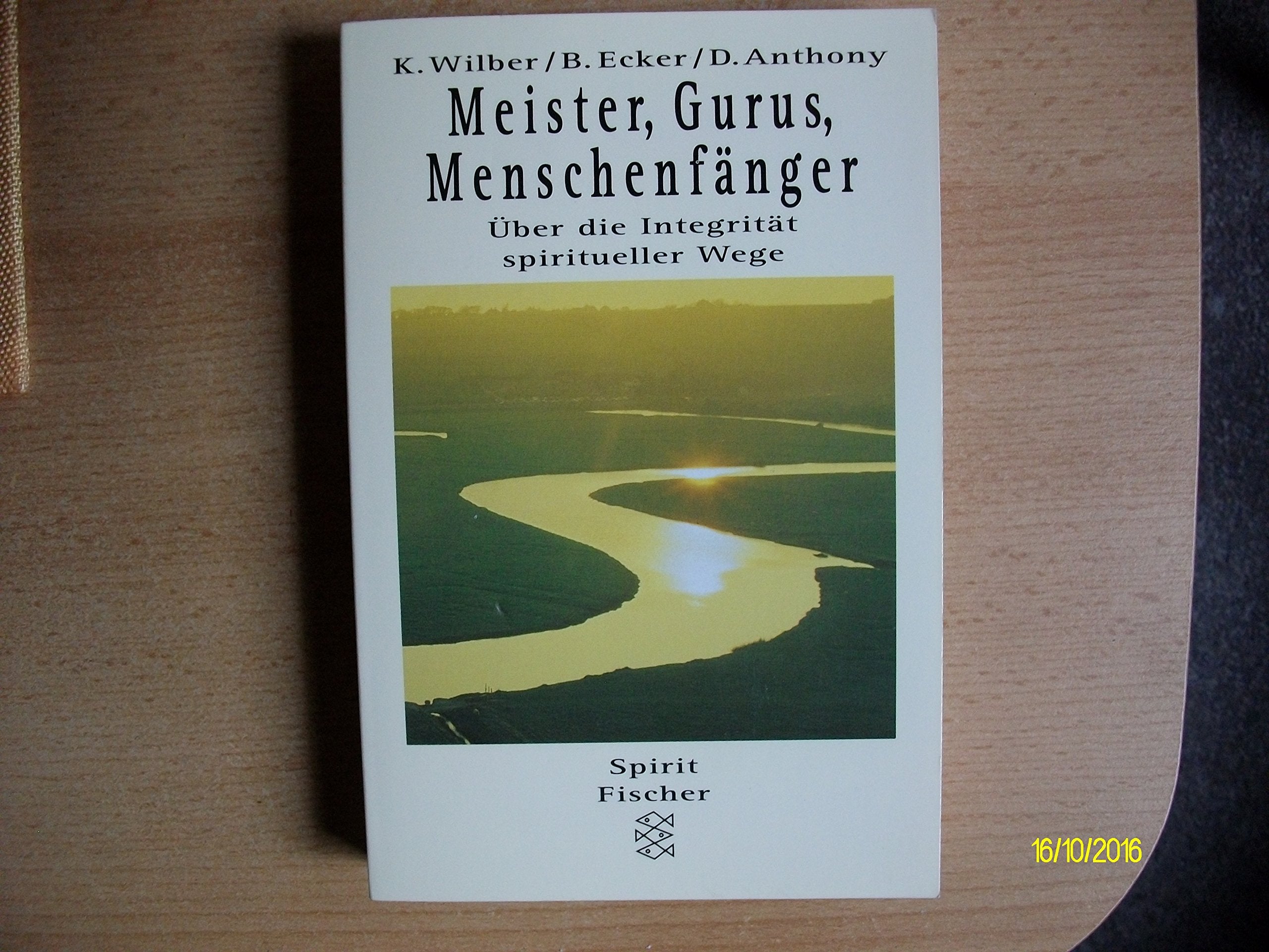 Meister, Gurus, Menschenfänger: Über die Integrität spiritueller Wege Books