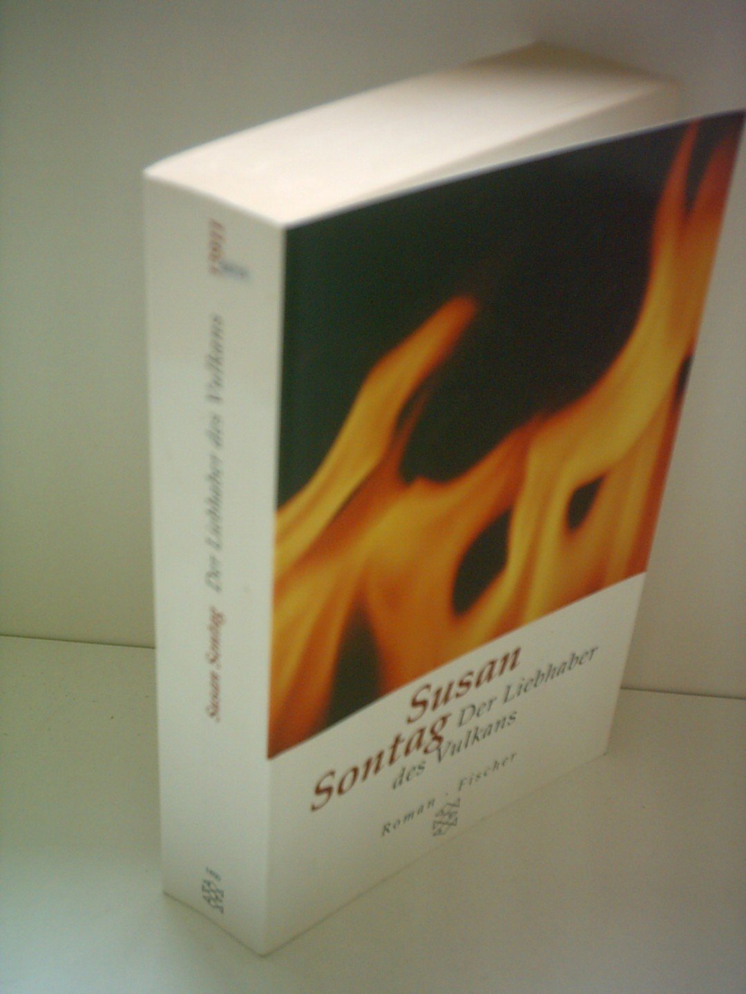 Der Liebhaber des Vulkans. Contemporary literature Books