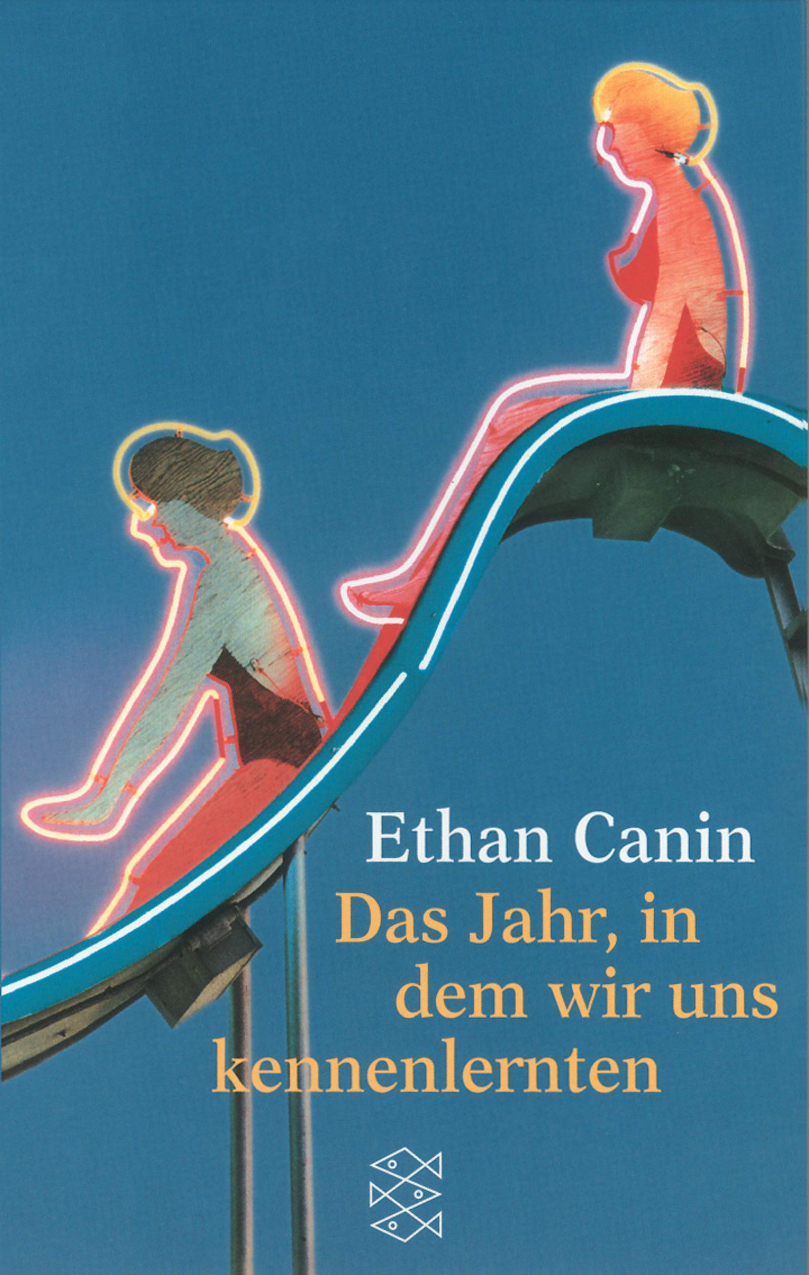 Das Jahr, in dem wir uns kennenlernten (Fischer Taschenbücher) Books