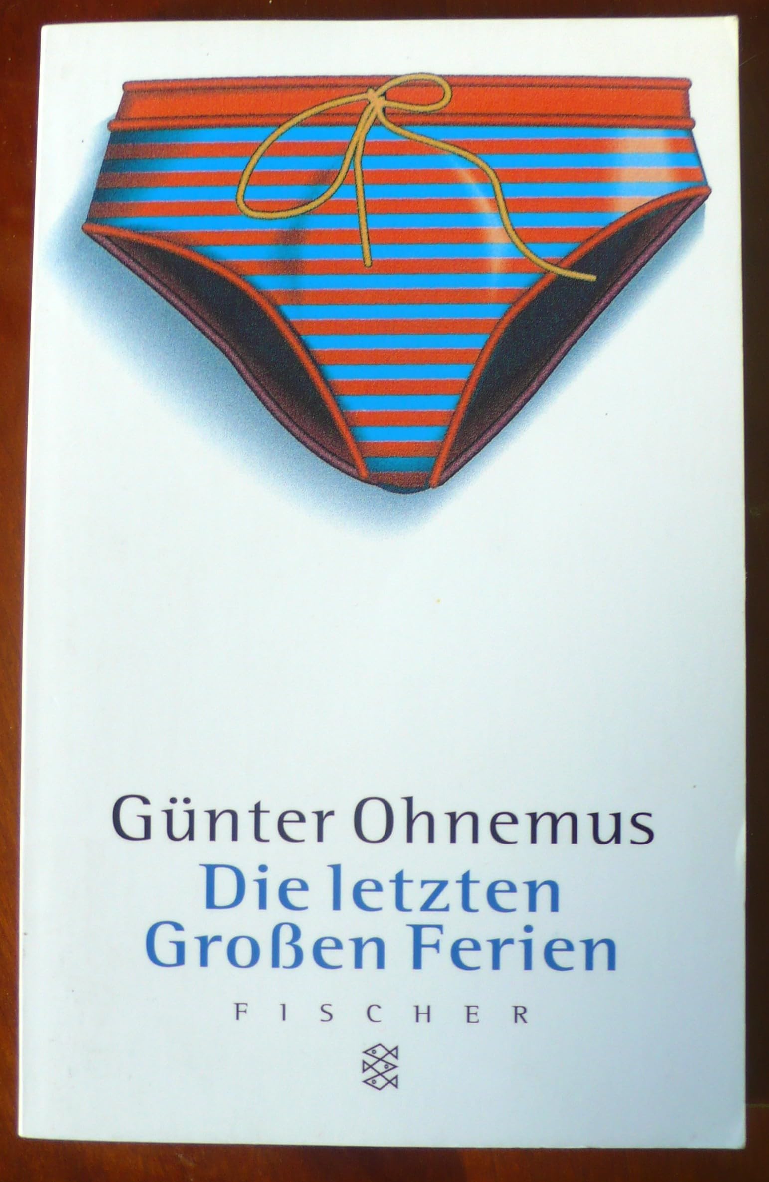 Die letzten Grossen Ferien: Geschichten Contemporary literature