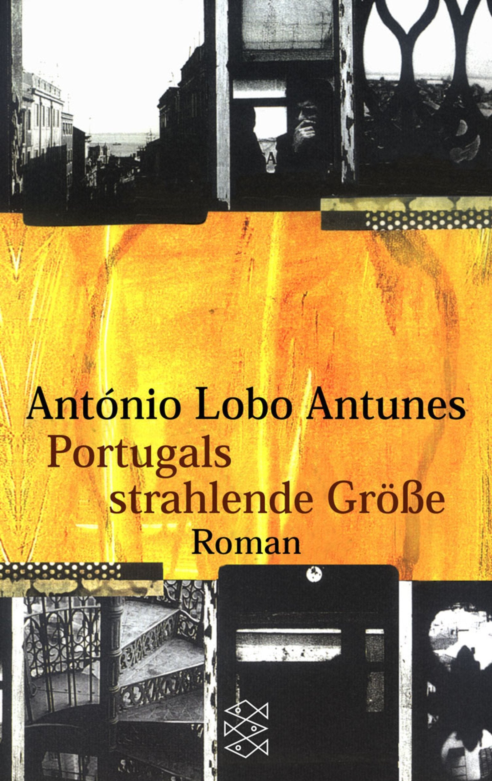 Portugals strahlende Größe: Roman: Roman. Aus d. Portugies. v. Maralde Meyer-Minnemann. (Fischer Taschenbücher) Contemporary literature Books