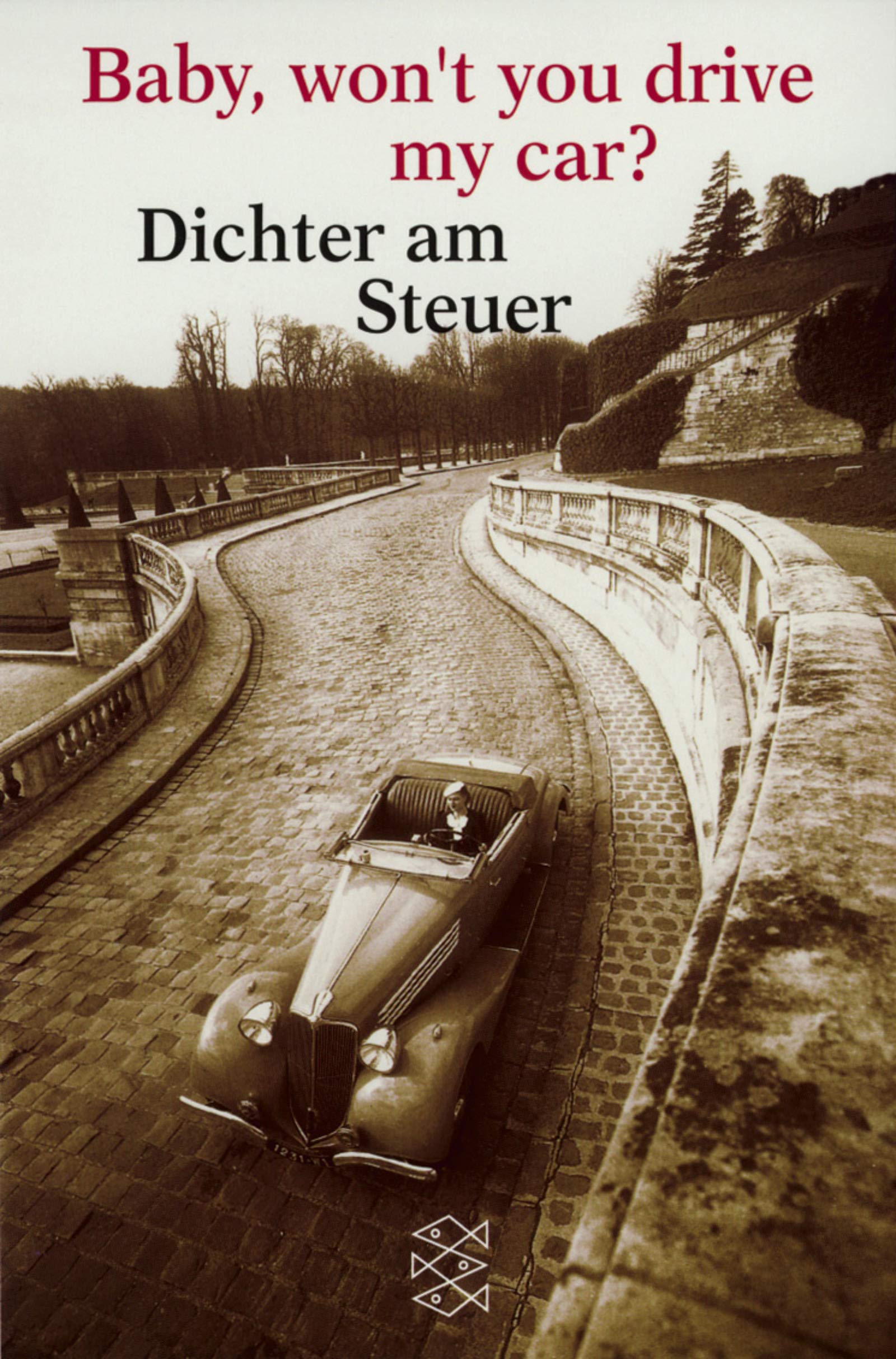 Baby, won't you drive my car?: Dichter am Steuer (Fischer Taschenbücher) Books