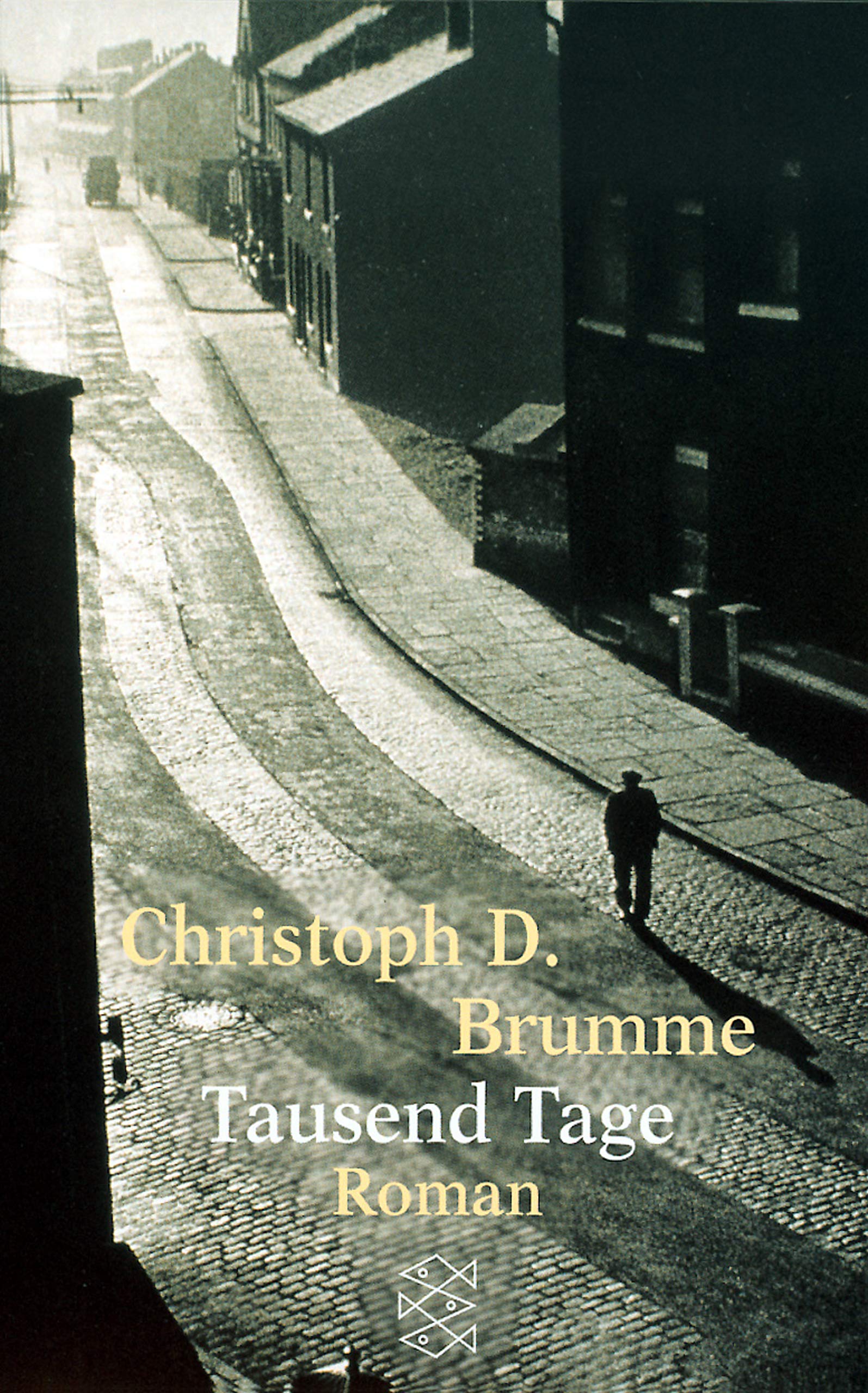 Tausend Tage: Roman (Fischer Taschenbücher) Contemporary literature