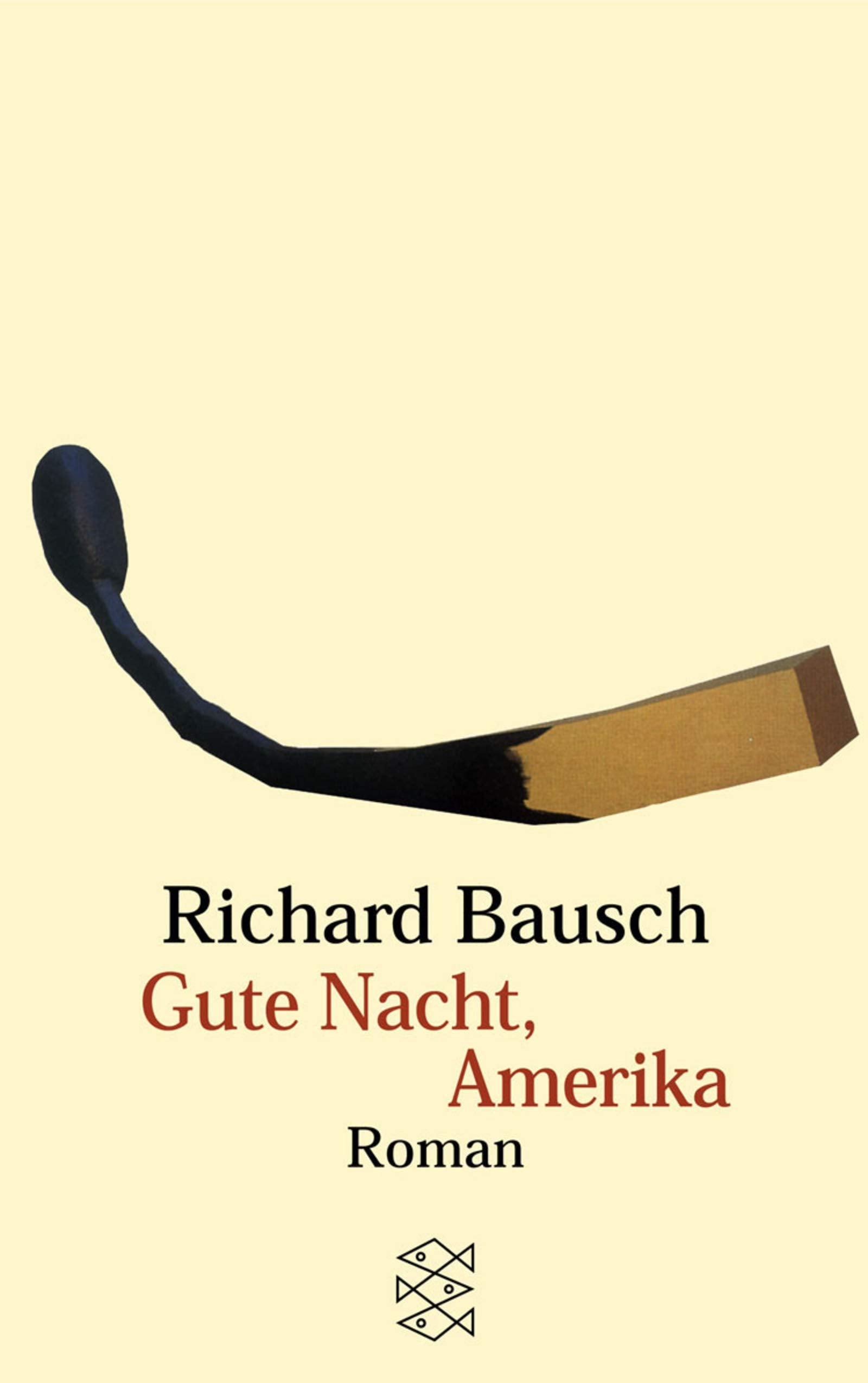 Gute Nacht, Amerika: Roman (Fischer Taschenbücher) Books