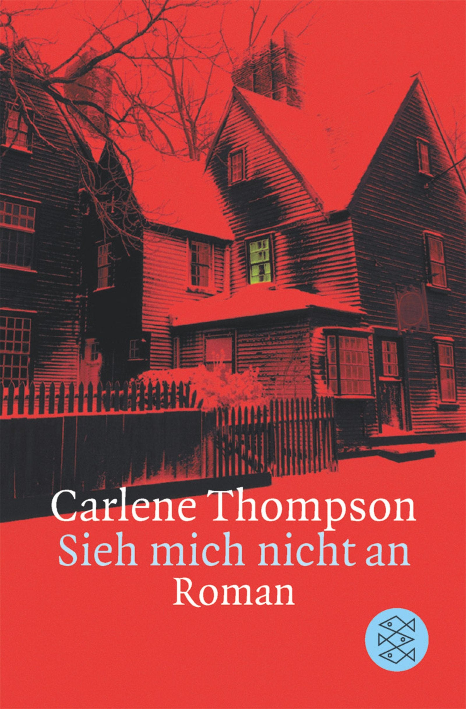 Sieh mich nicht an: Krimi: Roman (Fischer Taschenbücher) Contemporary literature