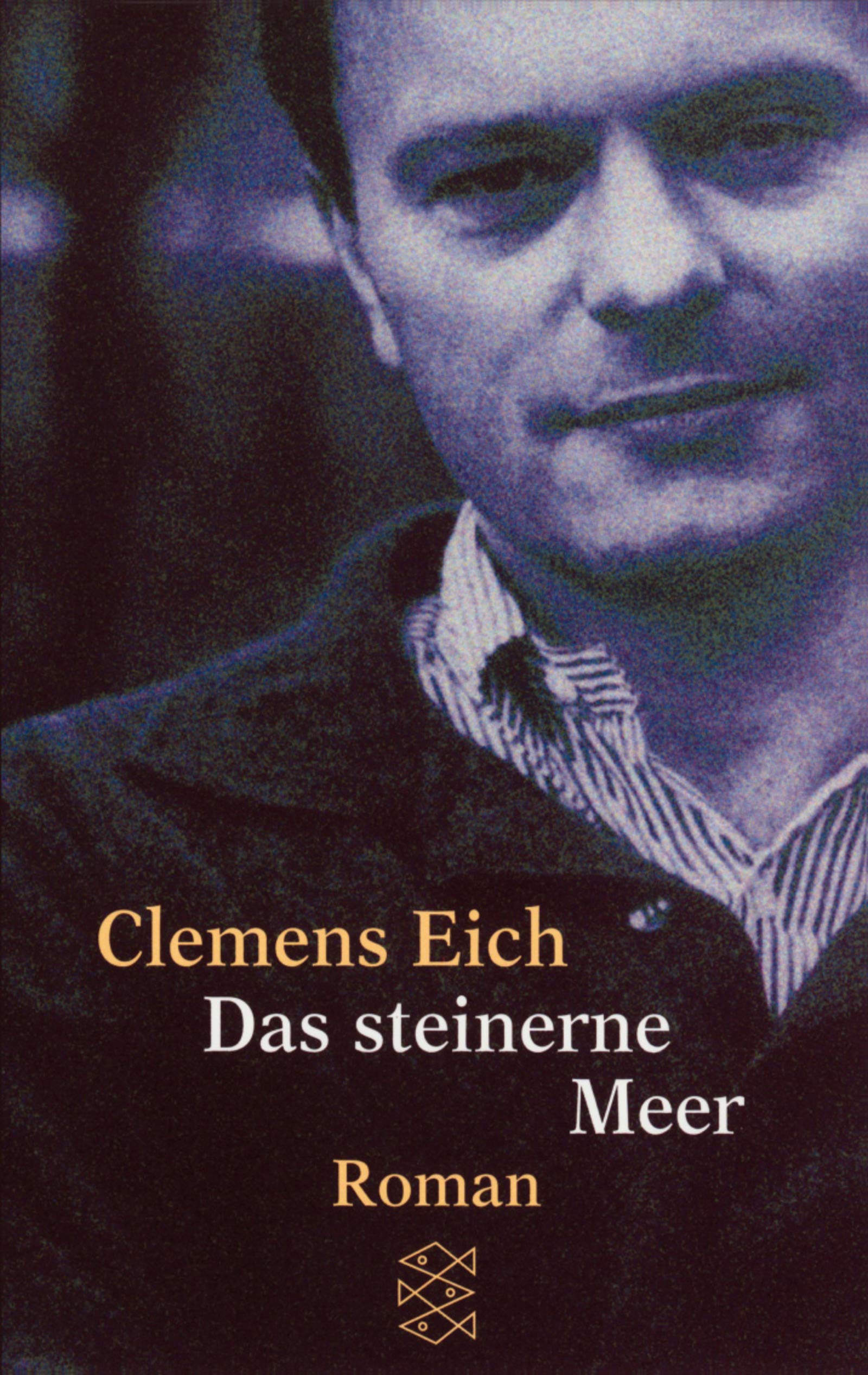 Das steinerne Meer: Roman (Fischer Taschenbücher) Contemporary literature
