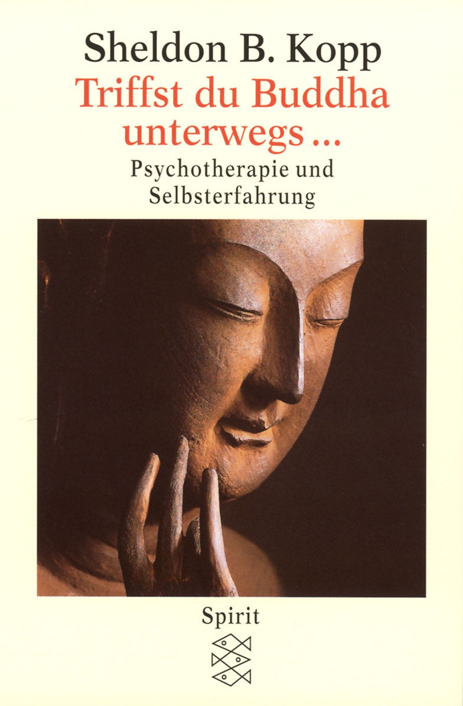 Triffst du Buddha unterwegs...: Psychotherapie und Selbsterfahrung Psychology
