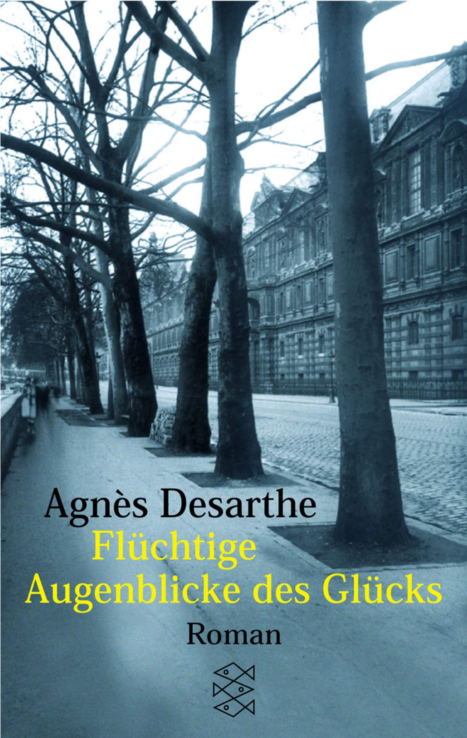 Flüchtige Augenblicke des Glücks: Roman (Fischer Taschenbücher) Books