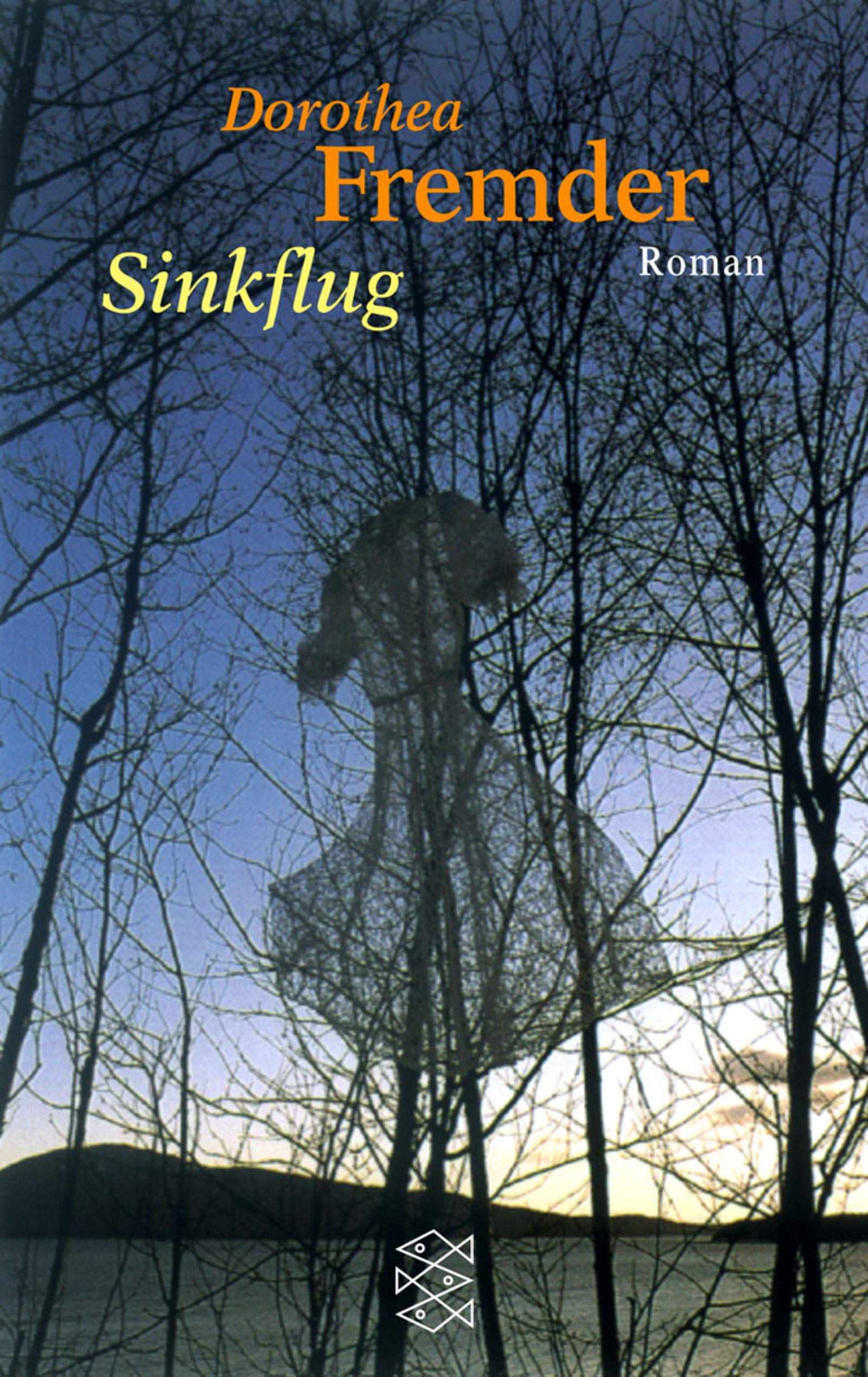 Sinkflug. Roman Contemporary literature