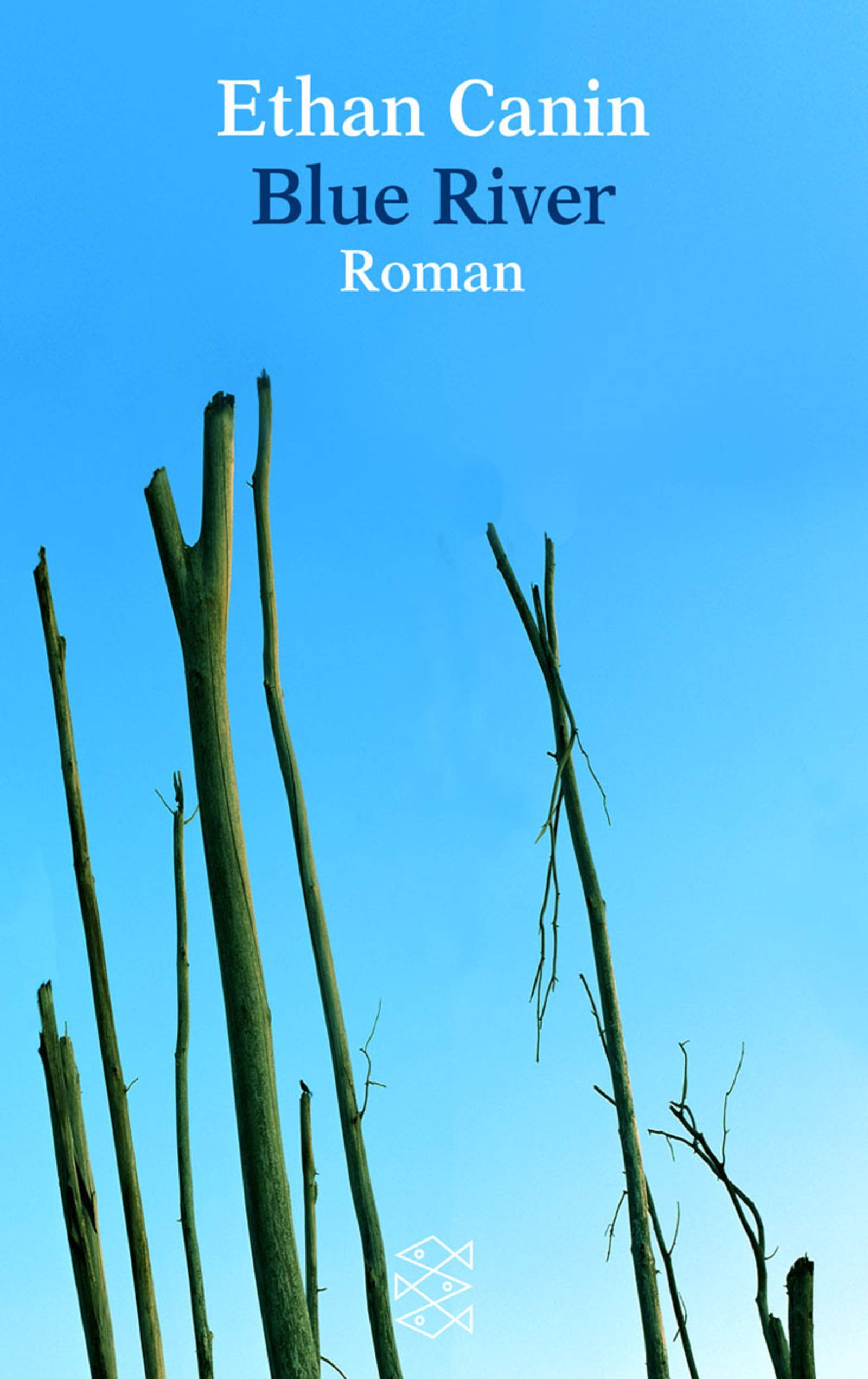 Blue River: Roman: Roman. Aus d. Amerikan. v. Hans Hermann (Fischer Taschenbücher) Books