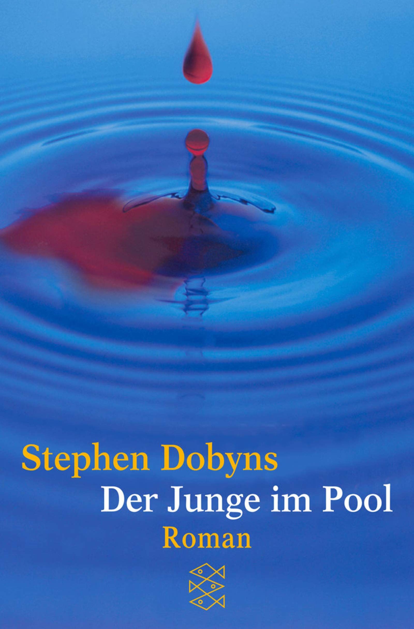 Der Junge im Pool: Roman (Fischer Taschenbücher) Crime & Thrillers