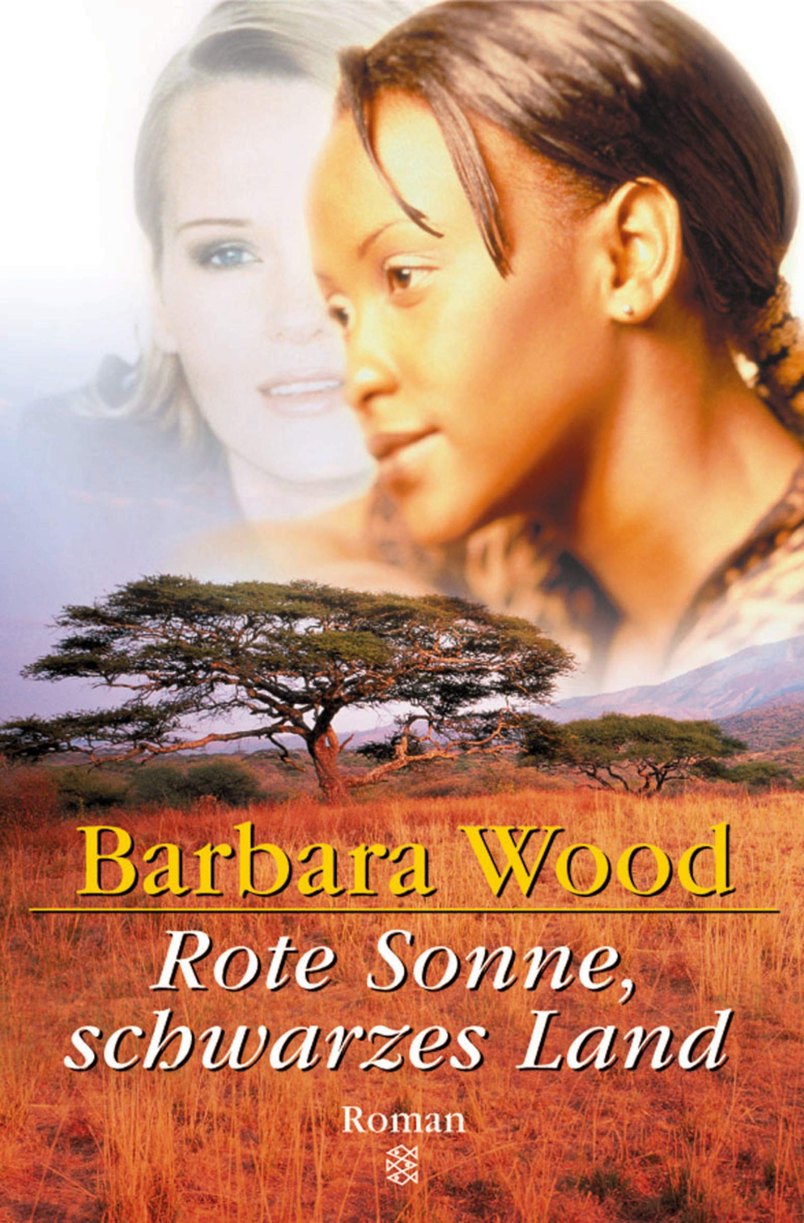 Rote Sonne, schwarzes Land: Roman Contemporary literature