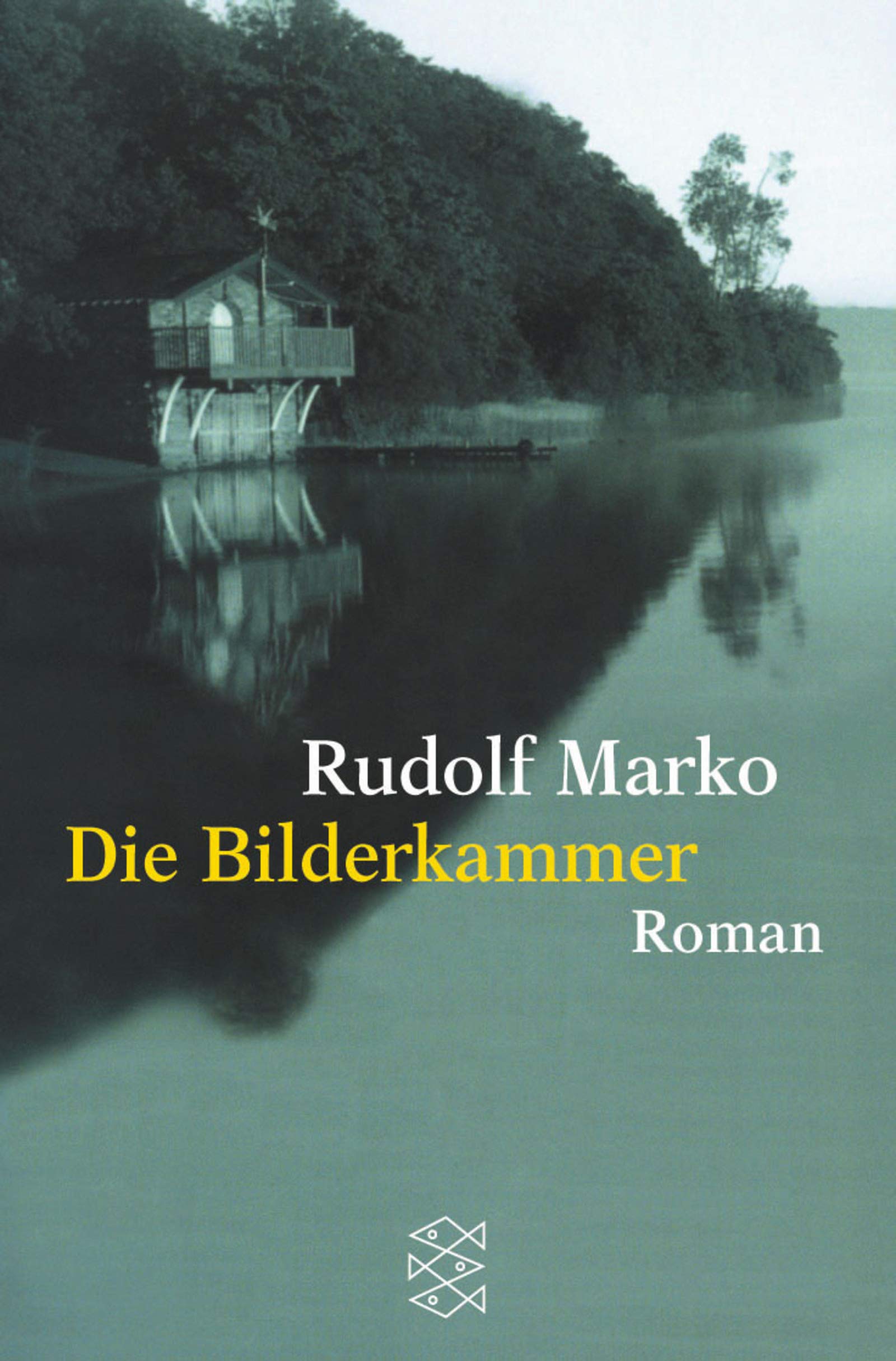 Die Bilderkammer: Roman (Fischer Taschenbücher) Contemporary literature
