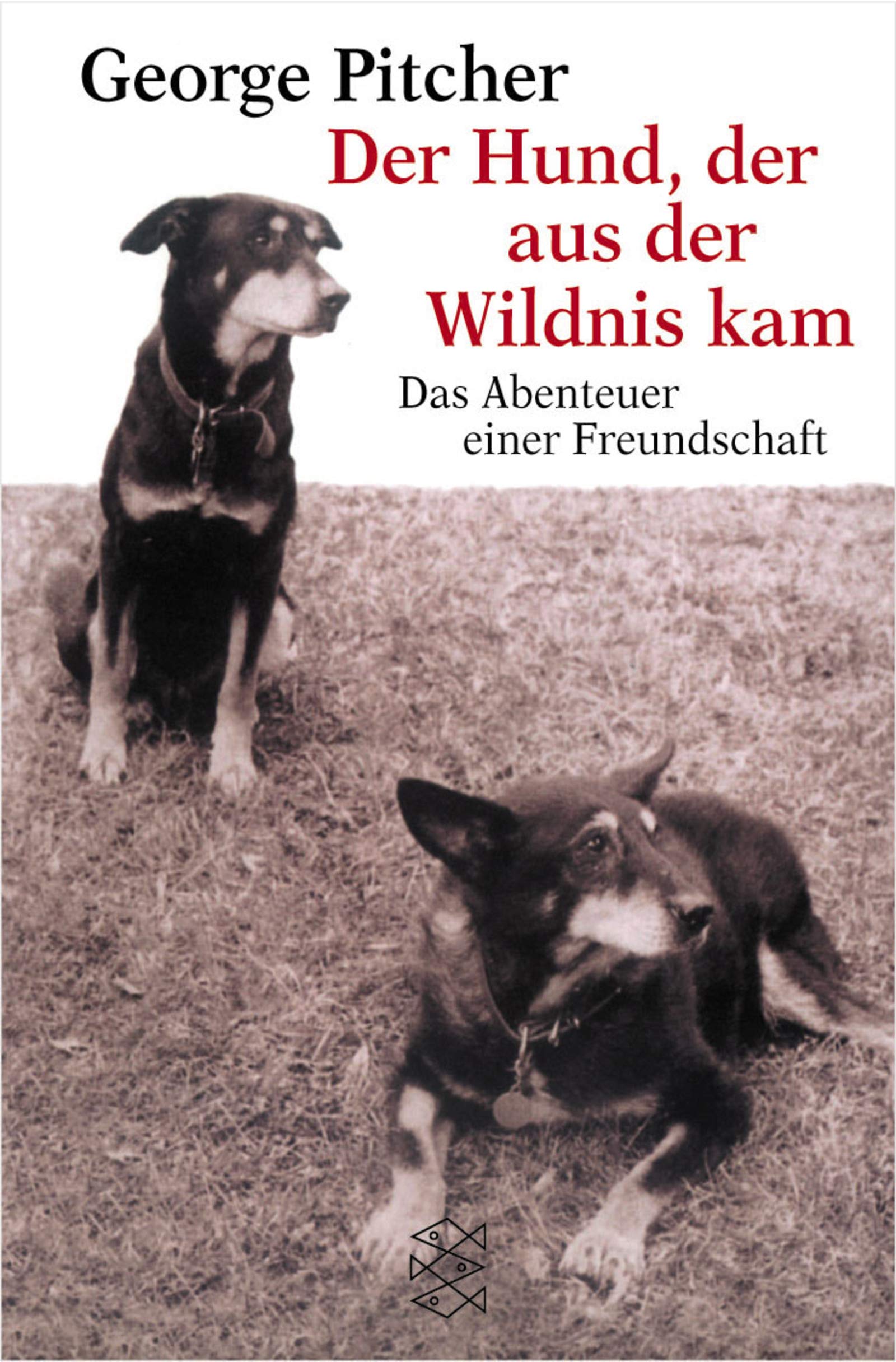 Der Hund, der aus der Wildnis kam: Das Abenteuer einer Freundschaft. Roman (Fischer Taschenbücher) Classics