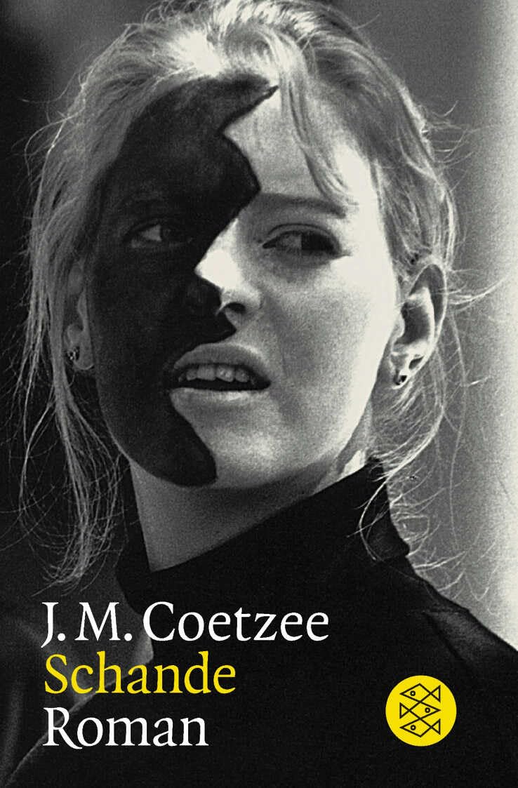 Schande Contemporary literature Books
