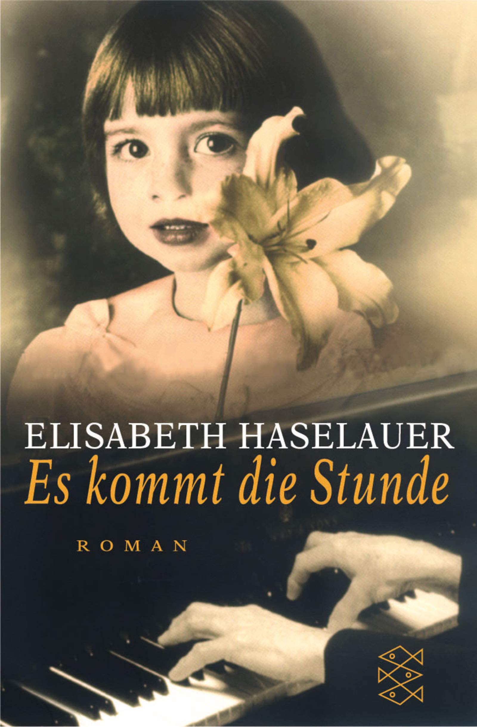 Es kommt die Stunde: Roman (Fischer Taschenbücher) Books