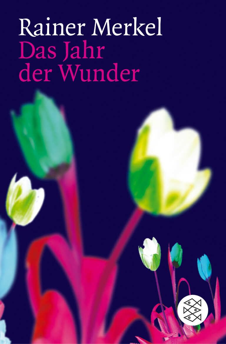 Product Image: Das Jahr der Wunder