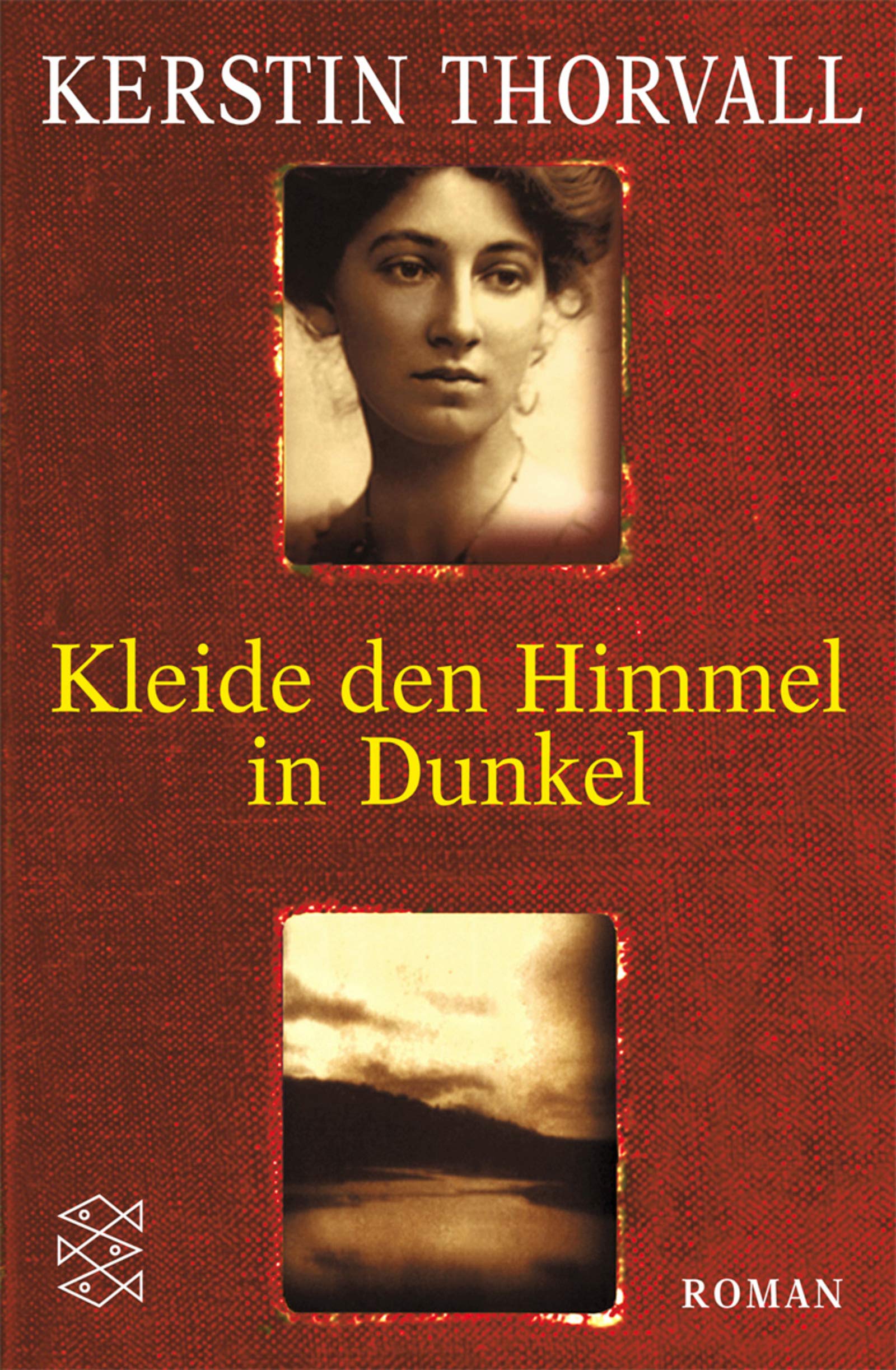 Kleide den Himmel in Dunkel: Roman (Fischer Taschenbücher) Contemporary literature