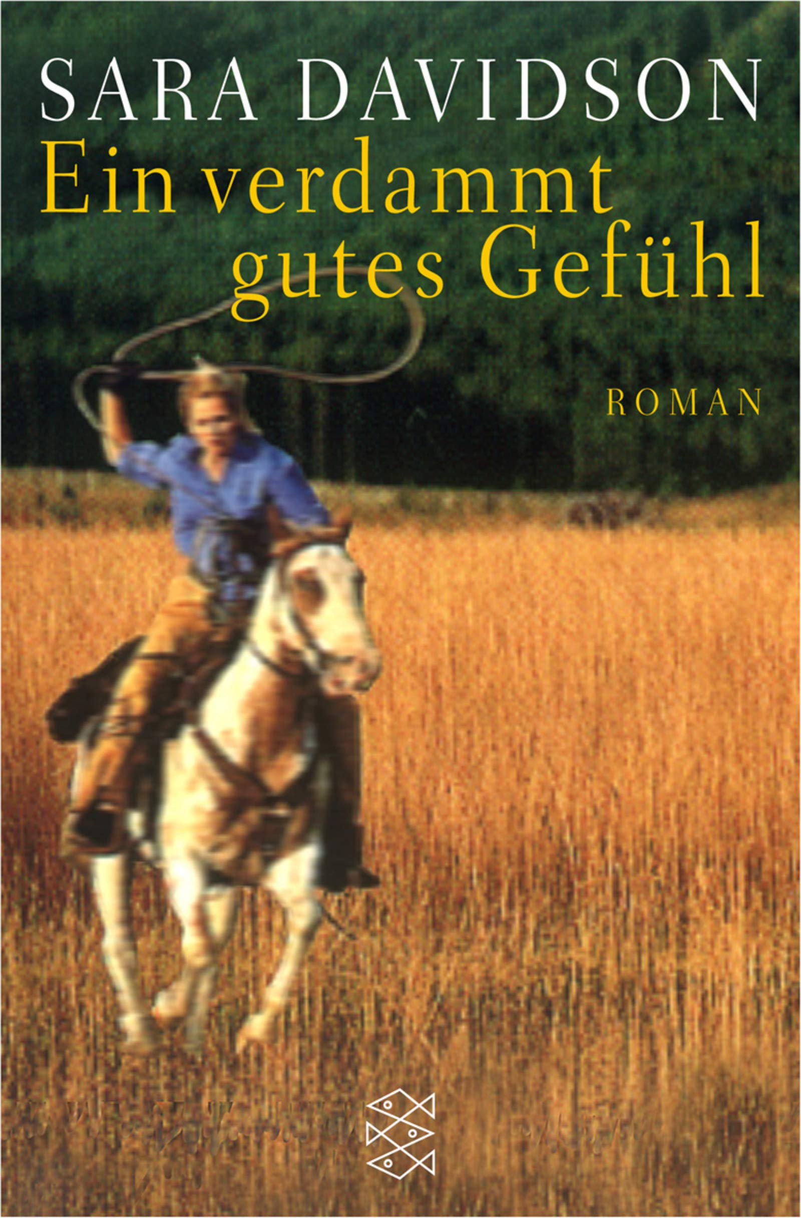 Ein verdammt gutes Gefühl: Roman Contemporary literature