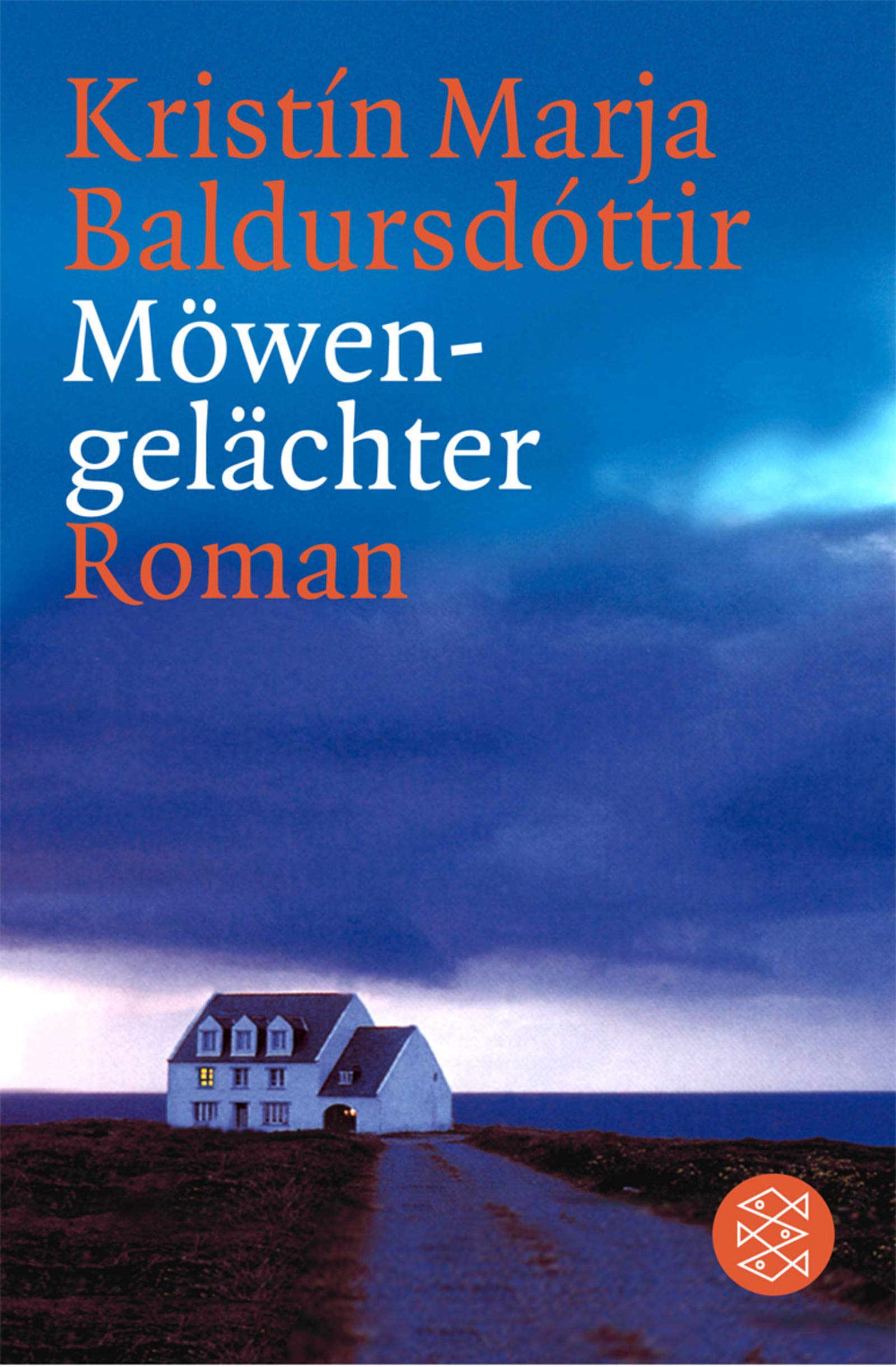 Möwengelächter: Roman (Fischer Taschenbücher) Contemporary literature
