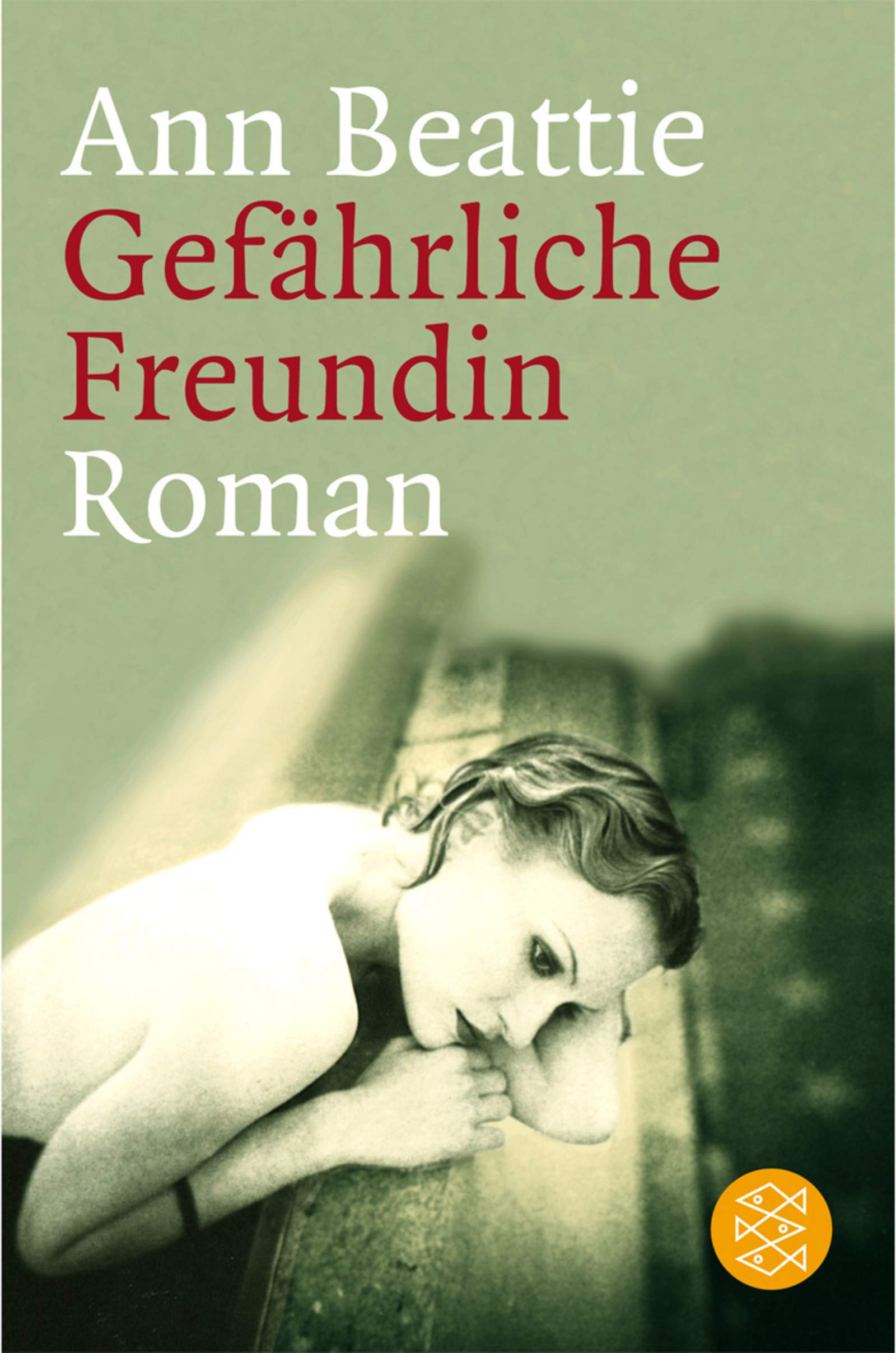 Gefährliche Freundin: Roman (Fischer Taschenbücher) Books
