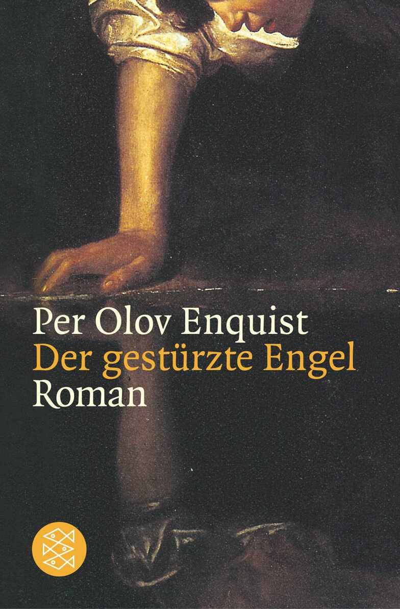 Gestürzter Engel Contemporary literature Books