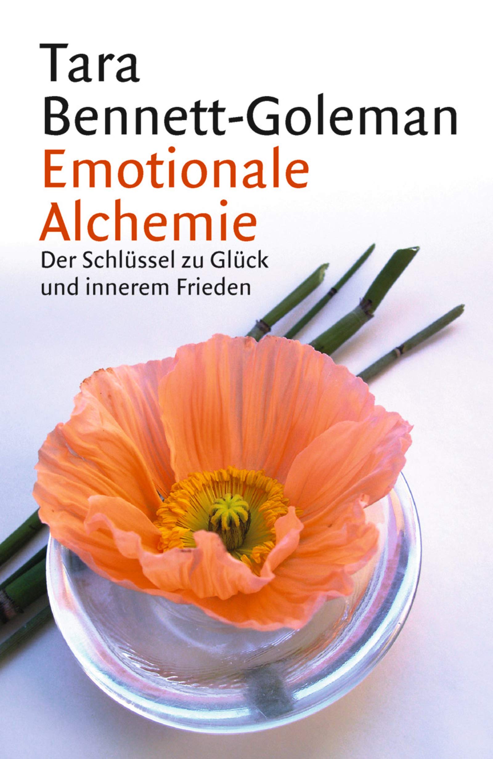 Emotionale Alchemie: Der Schlüssel zu Glück und innerem Frieden (Fischer Ratgeber) Lifestyle