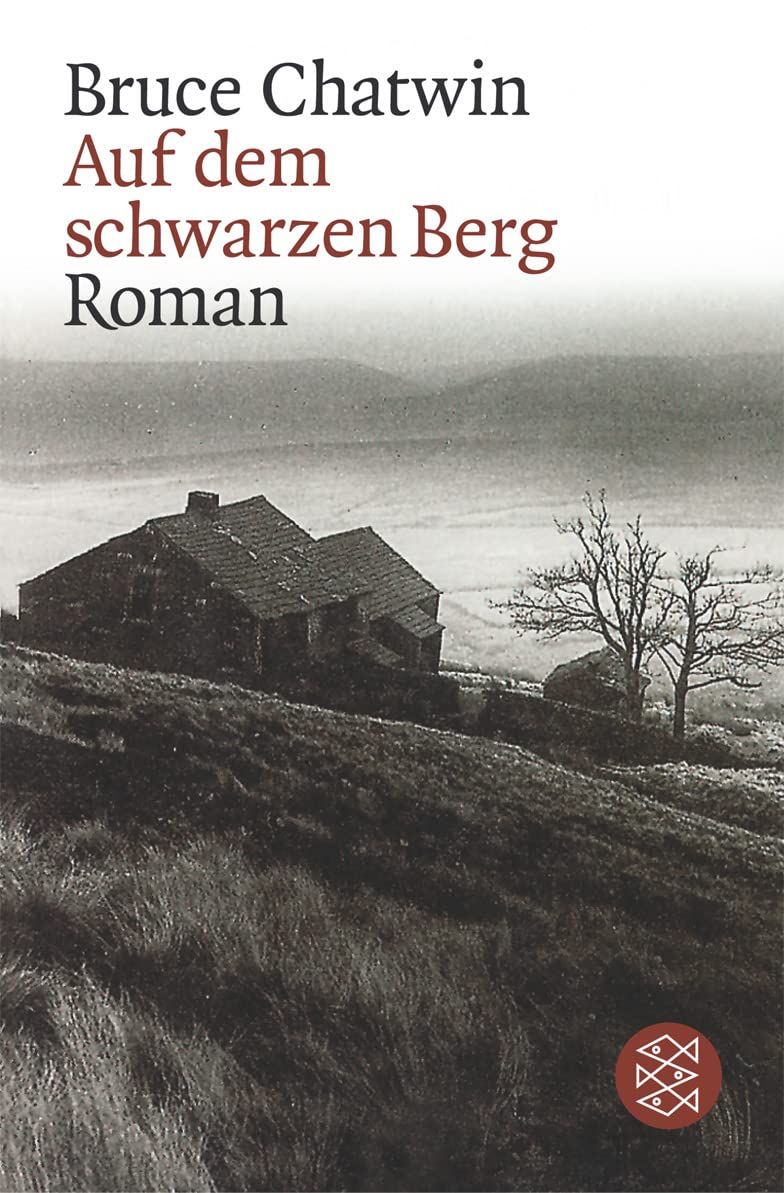 Auf dem schwarzen Berg Contemporary literature Books