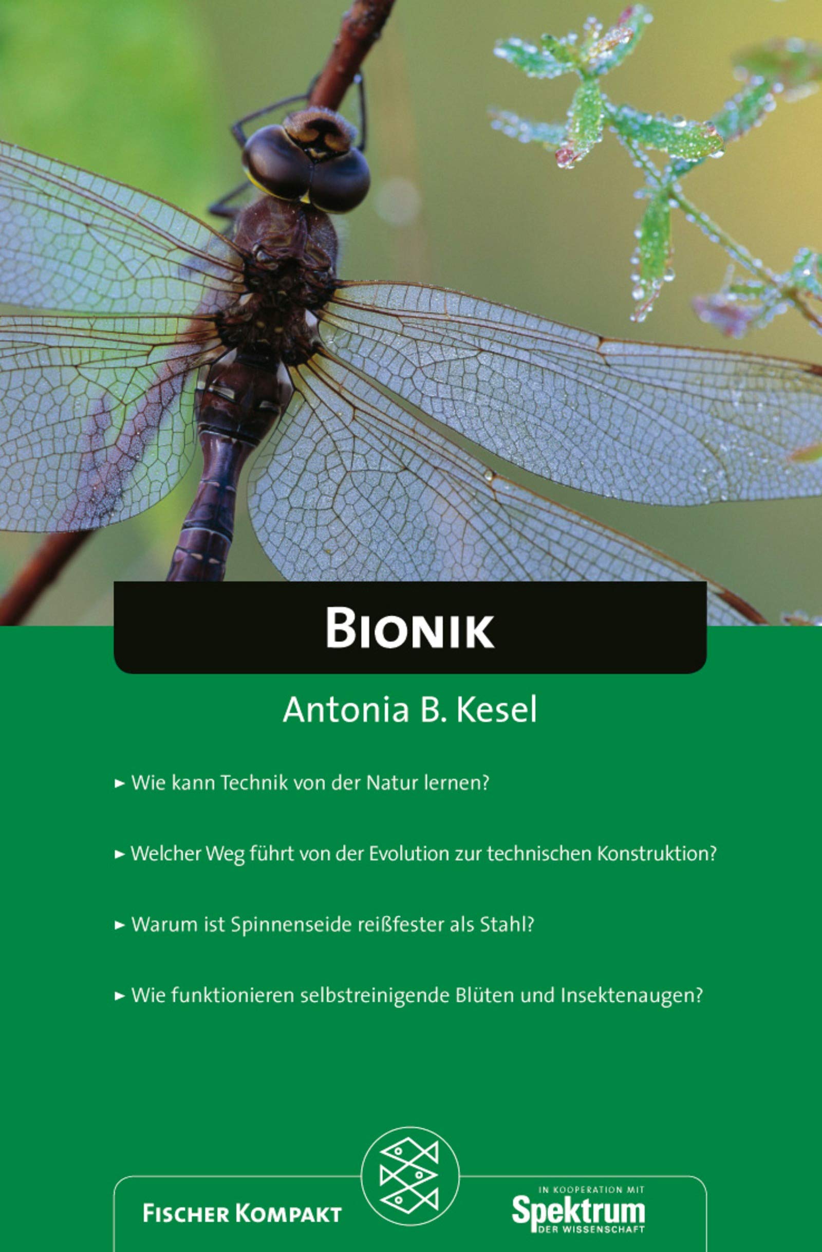 Fischer Kompakt: Bionik Natural Sciences