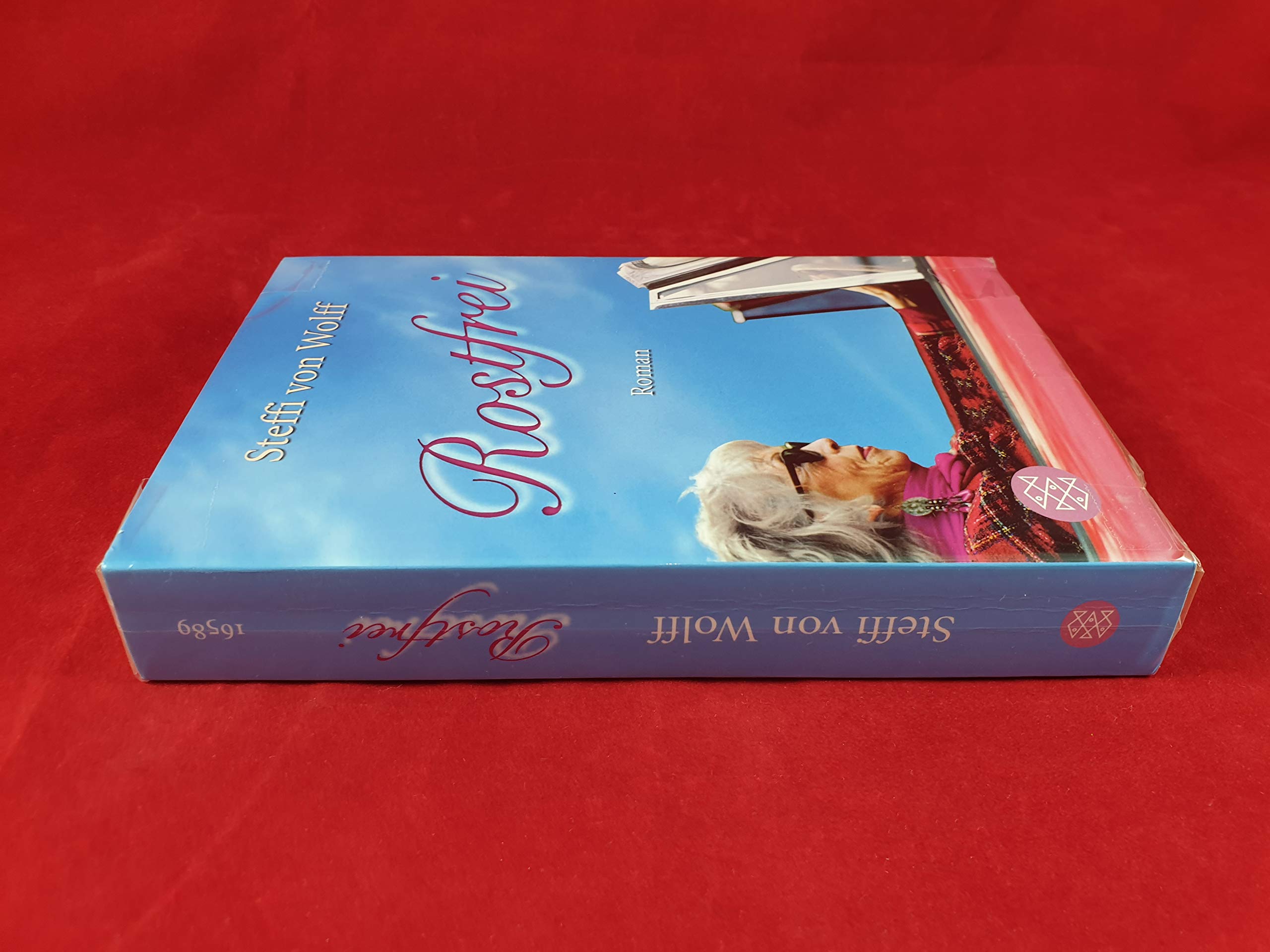 Rostfrei: Roman Contemporary literature Books
