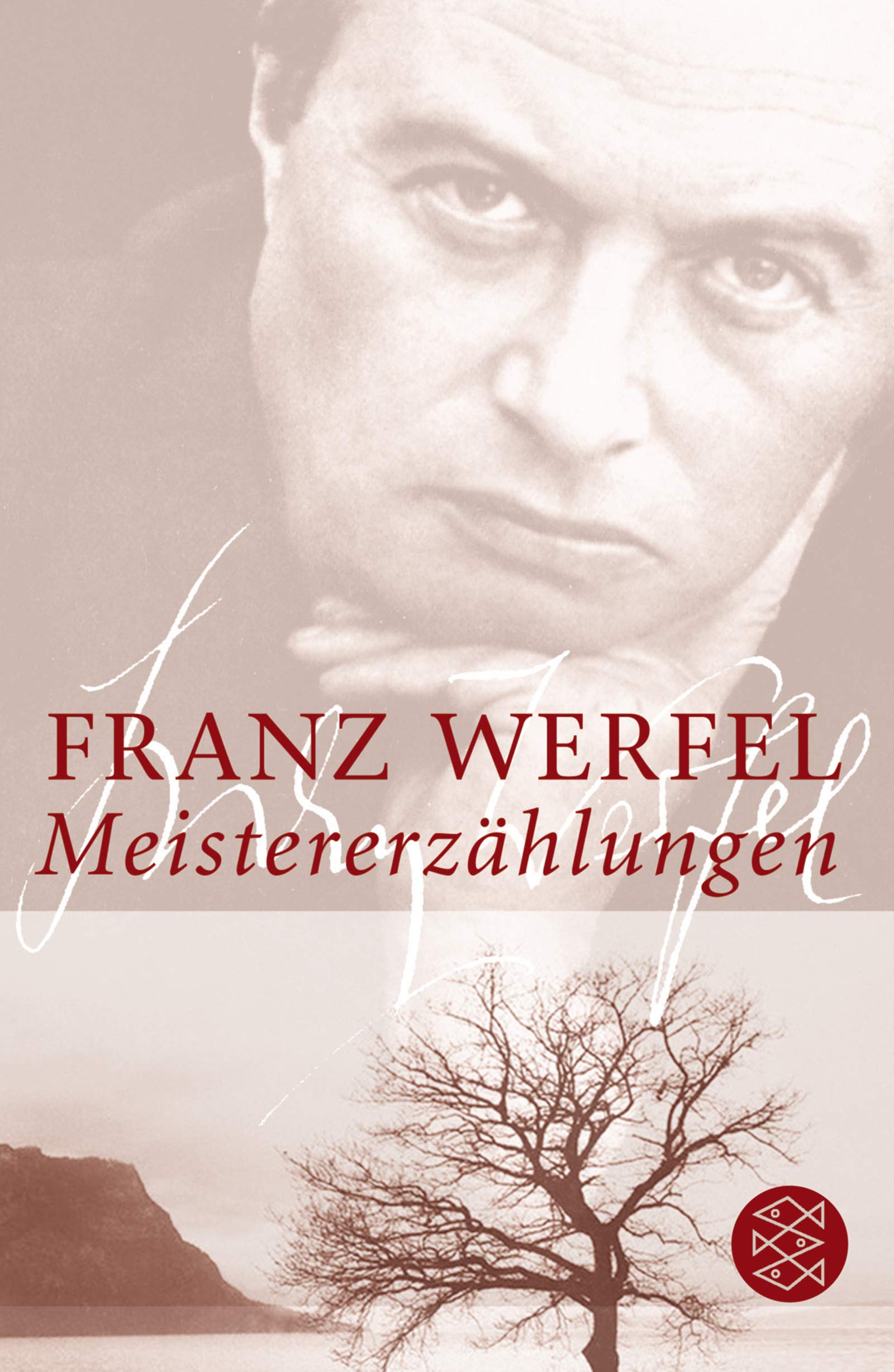 Meistererzählungen (Fischer Taschenbücher) Classics