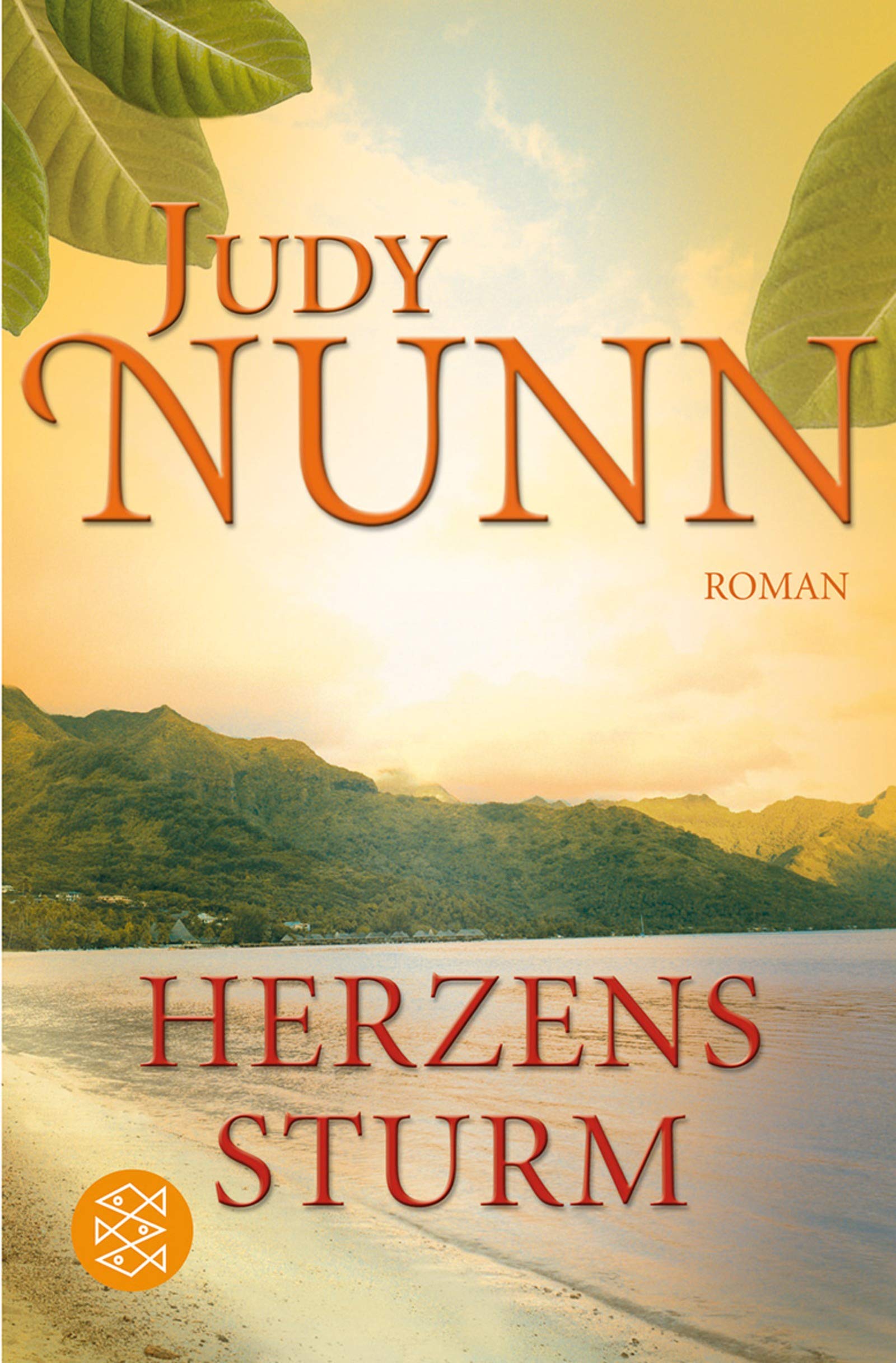 Herzenssturm: Roman (Fischer Taschenbücher) Contemporary literature