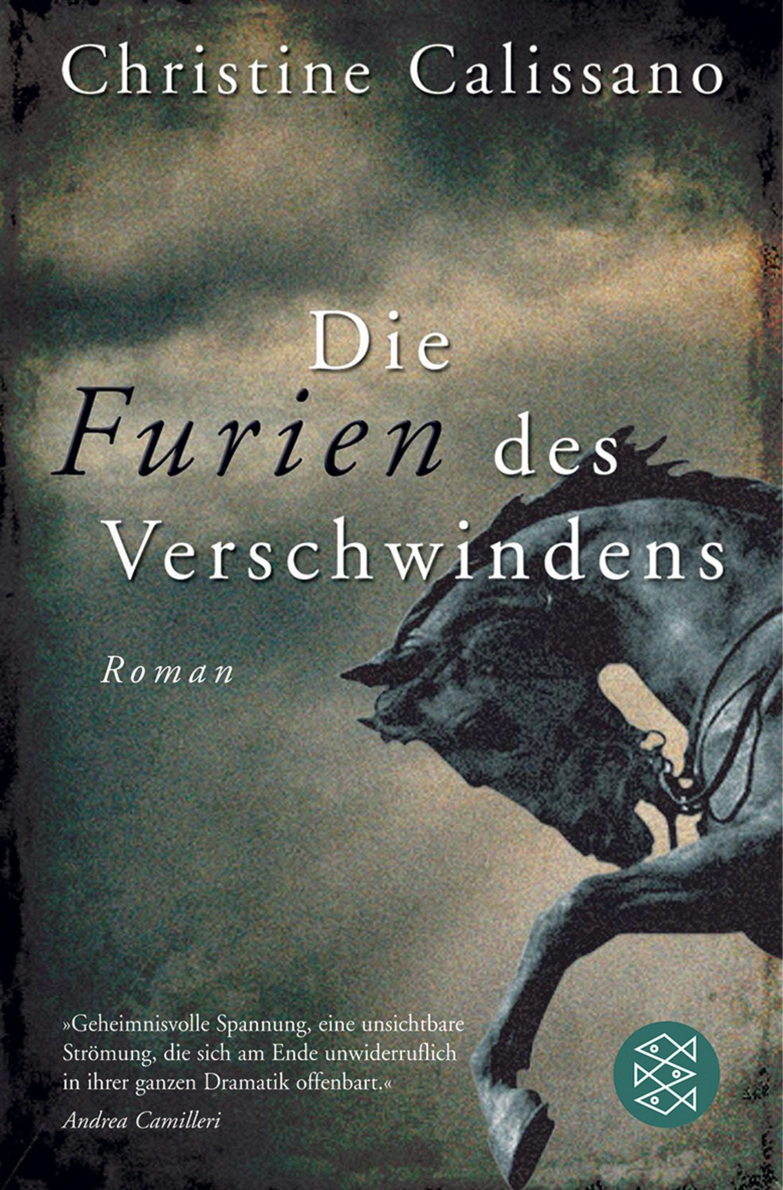 Die Furien des Verschwindens: Roman: Roman. Deutsche Erstausgabe. Nachw. v. Andrea Camilleri Contemporary literature Books