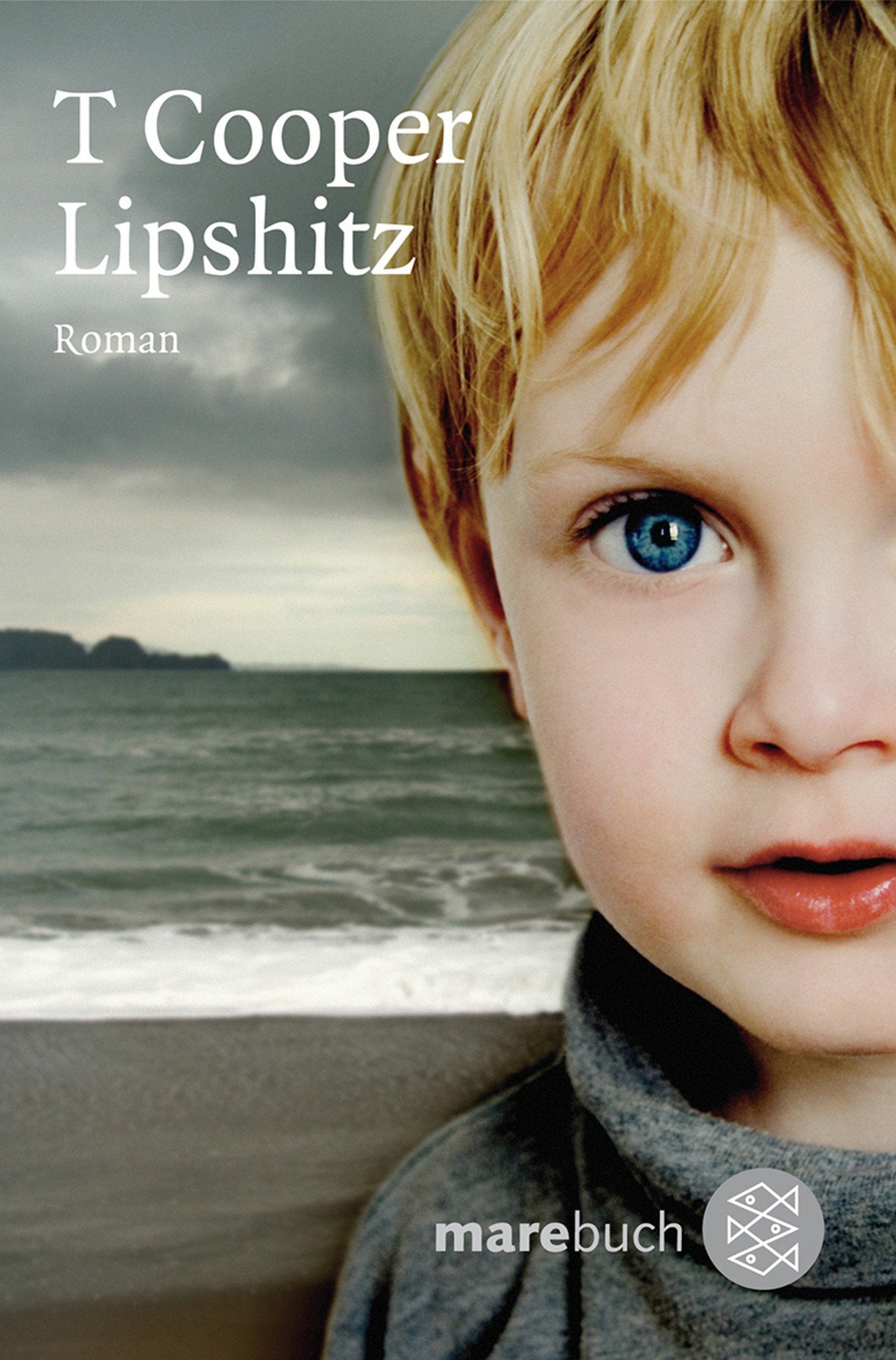 Lipshitz: Roman Contemporary literature Books