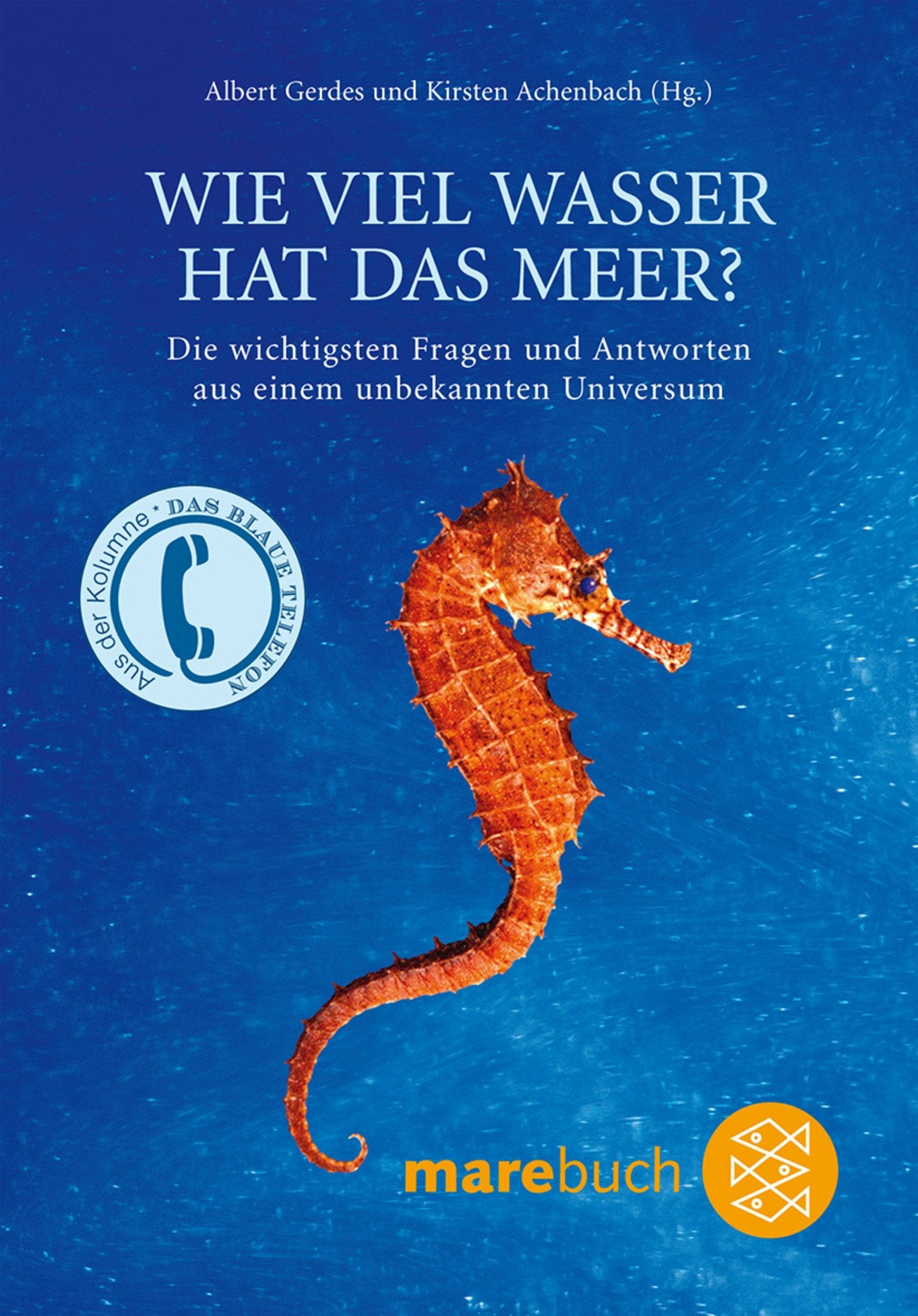 Wie viel Wasser hat das Meer?: Die wichtigsten Fragen und Antworten zu einem unbekannten Universum: Die wichtigsten Fragen und Antworten zu einem ... der Zeitschrift mare 'Das Blaue Telefon' Business & Technology