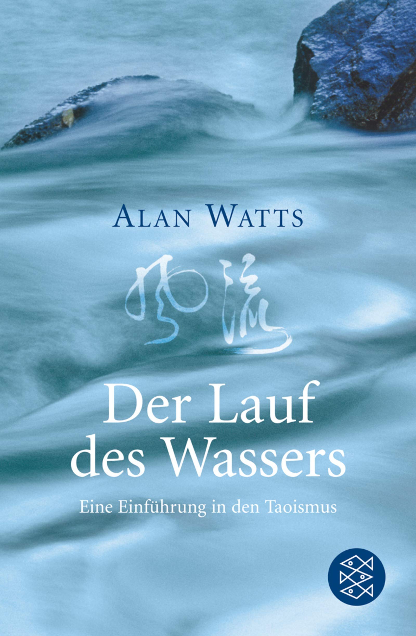 Der Lauf des Wassers: Eine Einführung in den Taoismus: Ein Einführung in den Taoismus (Fischer Ratgeber) Self-help