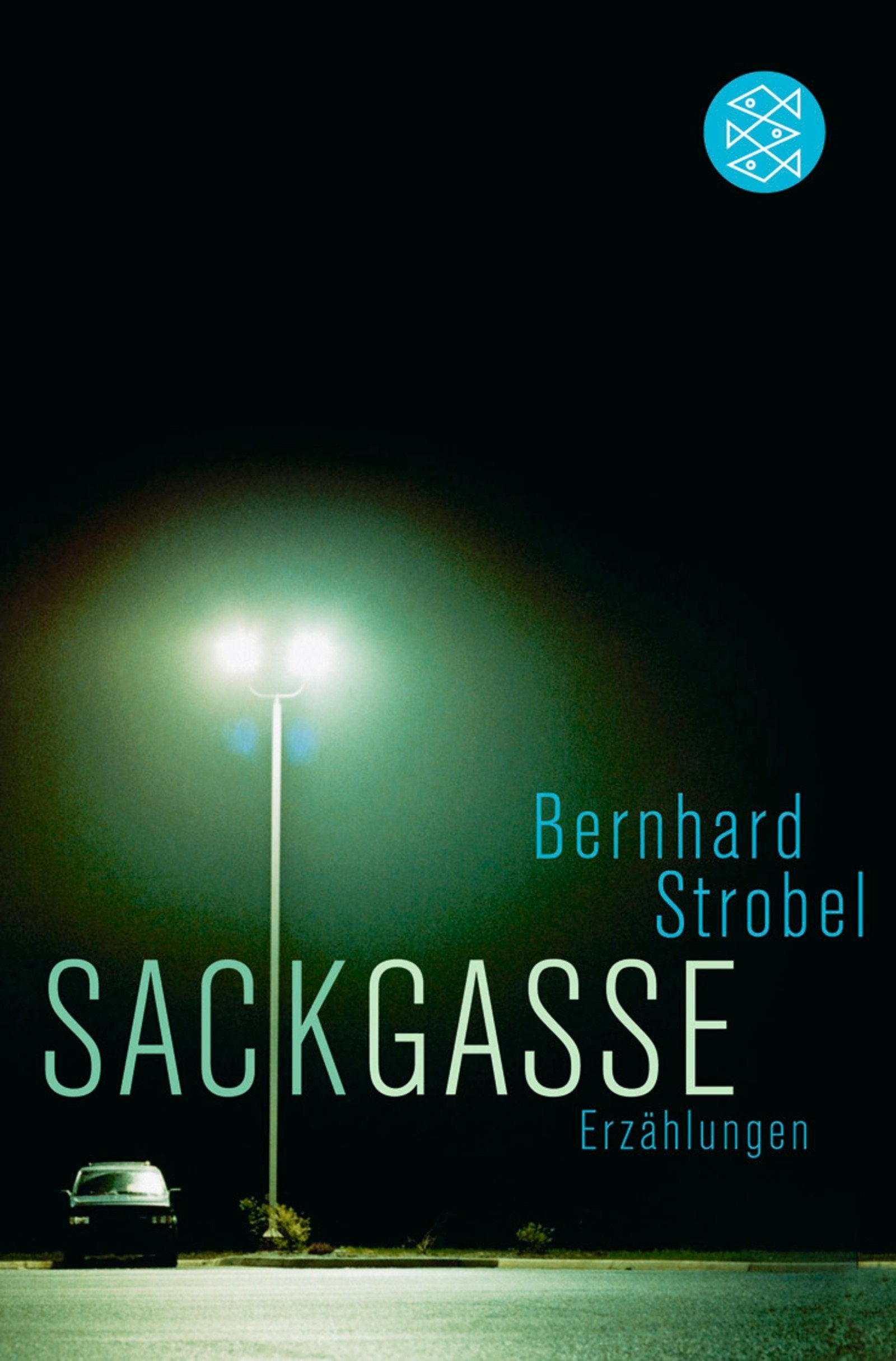 Product Image: Sackgasse: Erzählungen