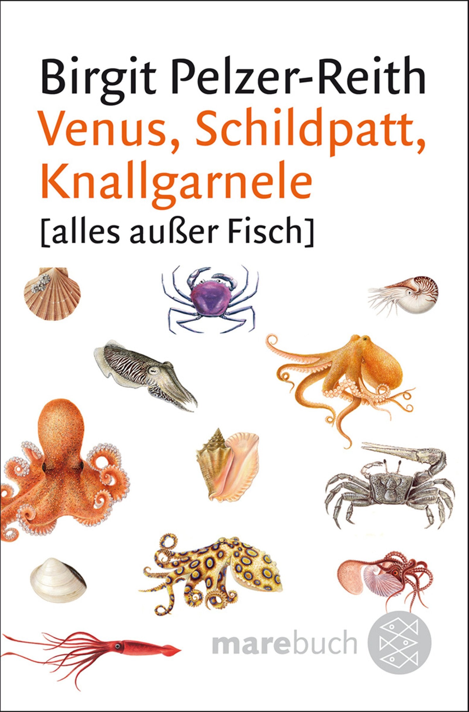 Venus, Schildpatt, Knallgarnele: (Ratgeber / Lebenskrisen) Reference Books