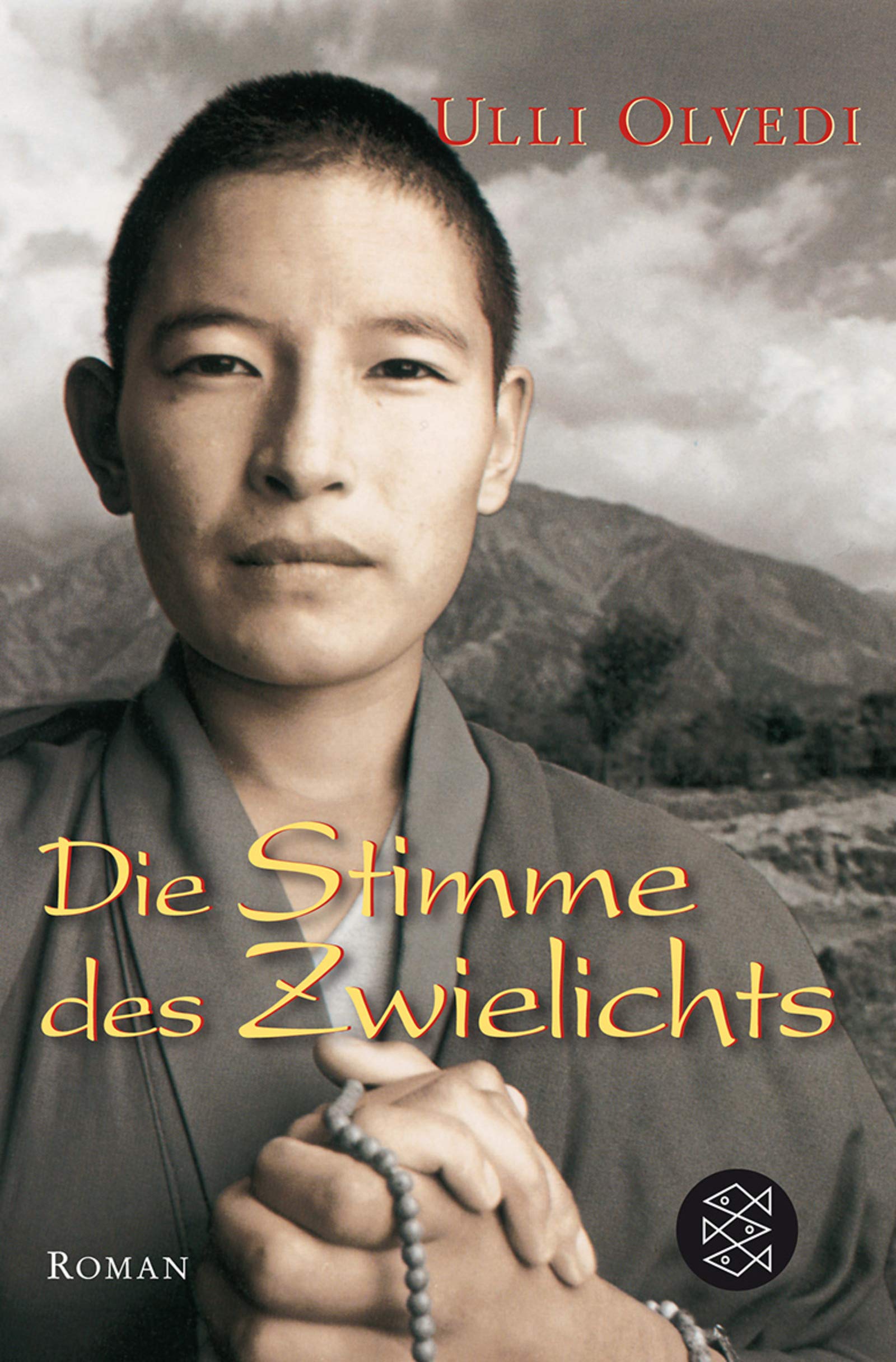 Die Stimme des Zwielichts: Roman (Unterhaltung) Contemporary literature