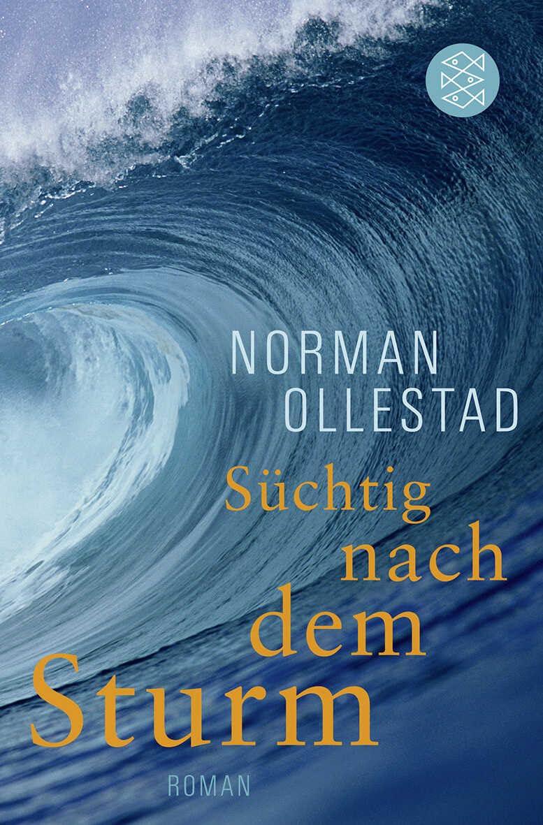 Süchtig nach dem Sturm Contemporary literature